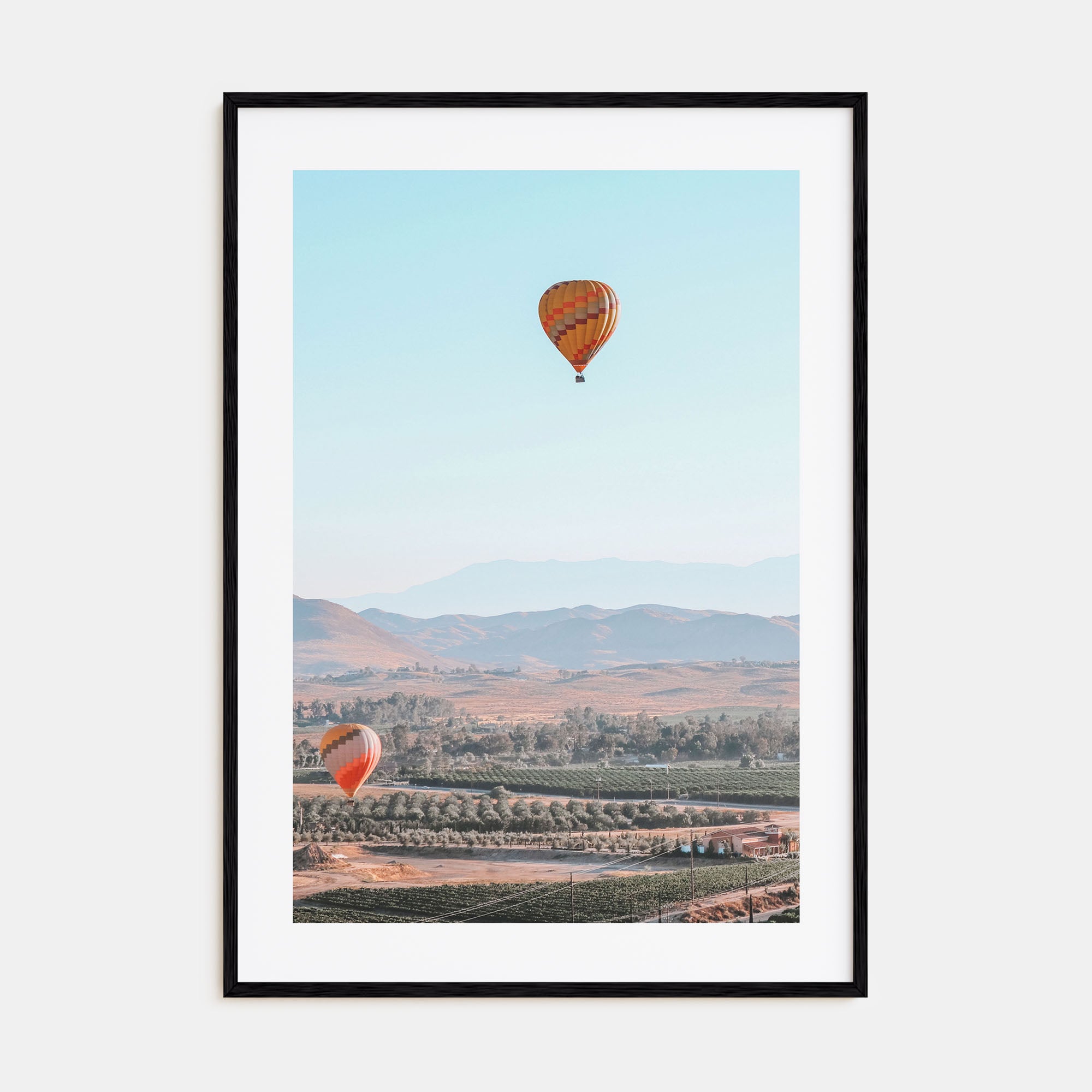 Hot Air Balloon Photo Color No 2 Poster
