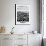 Hot Springs Portrait B&W Poster