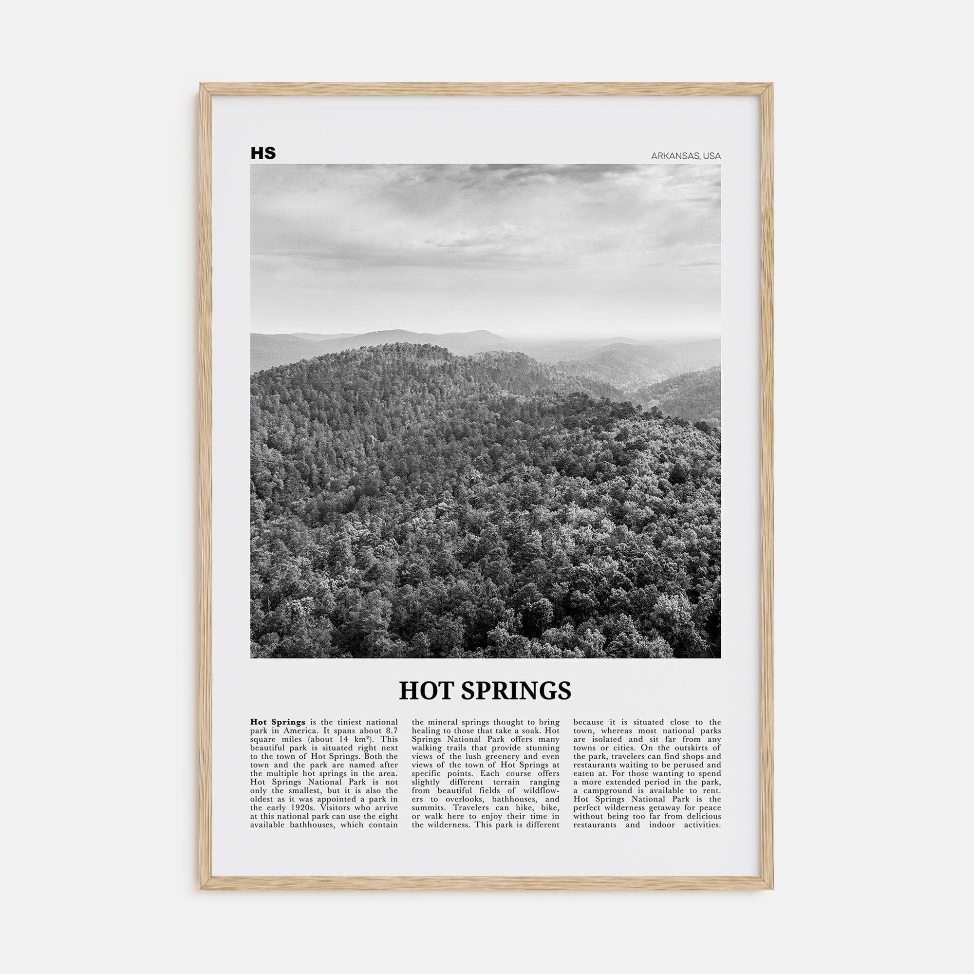 Hot Springs Travel B&W Poster