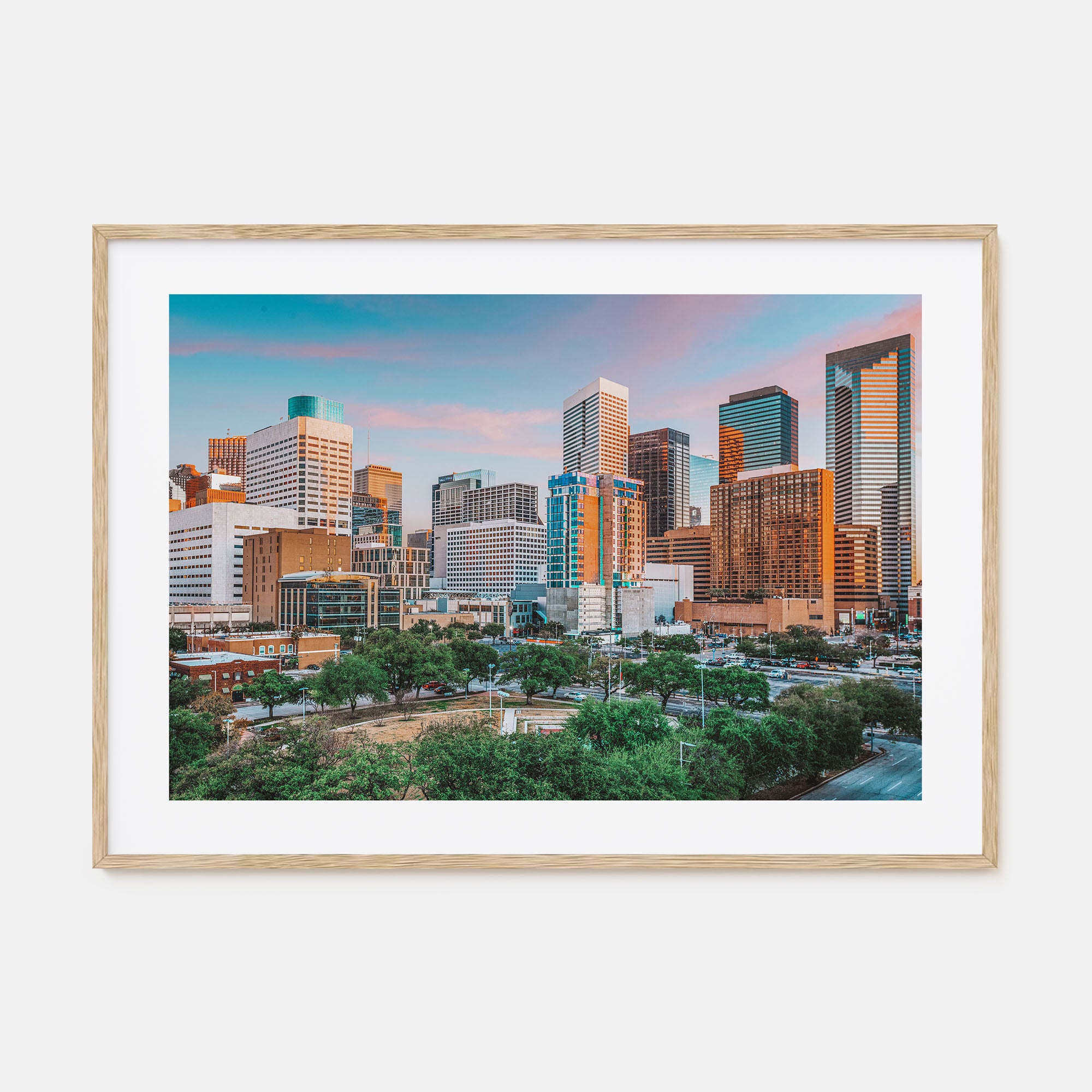 Houston Landscape Color Poster