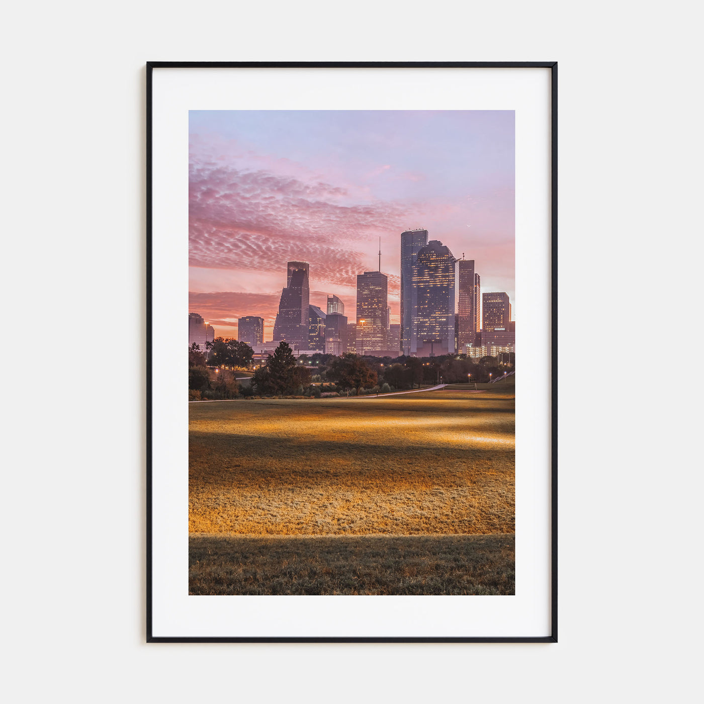 Houston Photo Color No 3 Poster