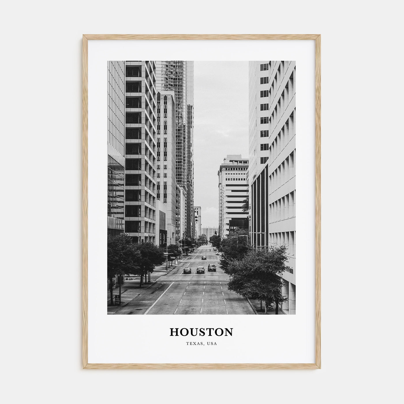 Houston Portrait B&W No 3 Poster