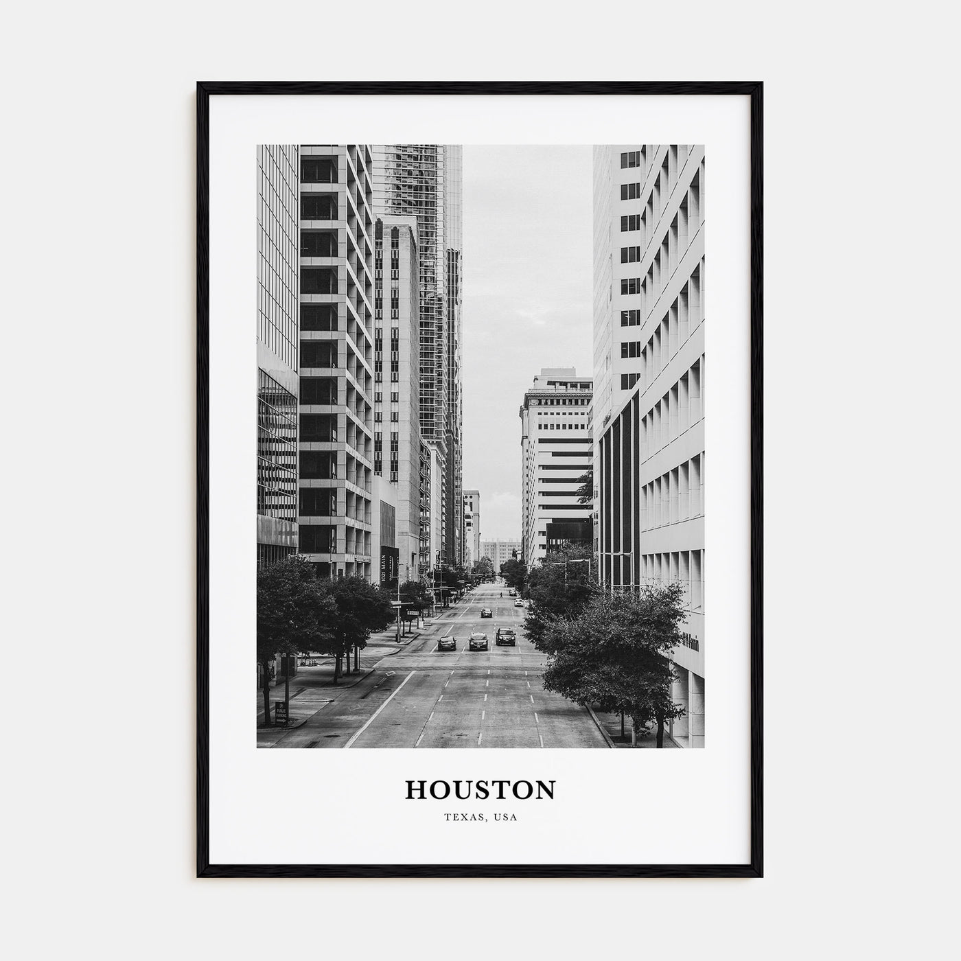 Houston Portrait B&W No 3 Poster