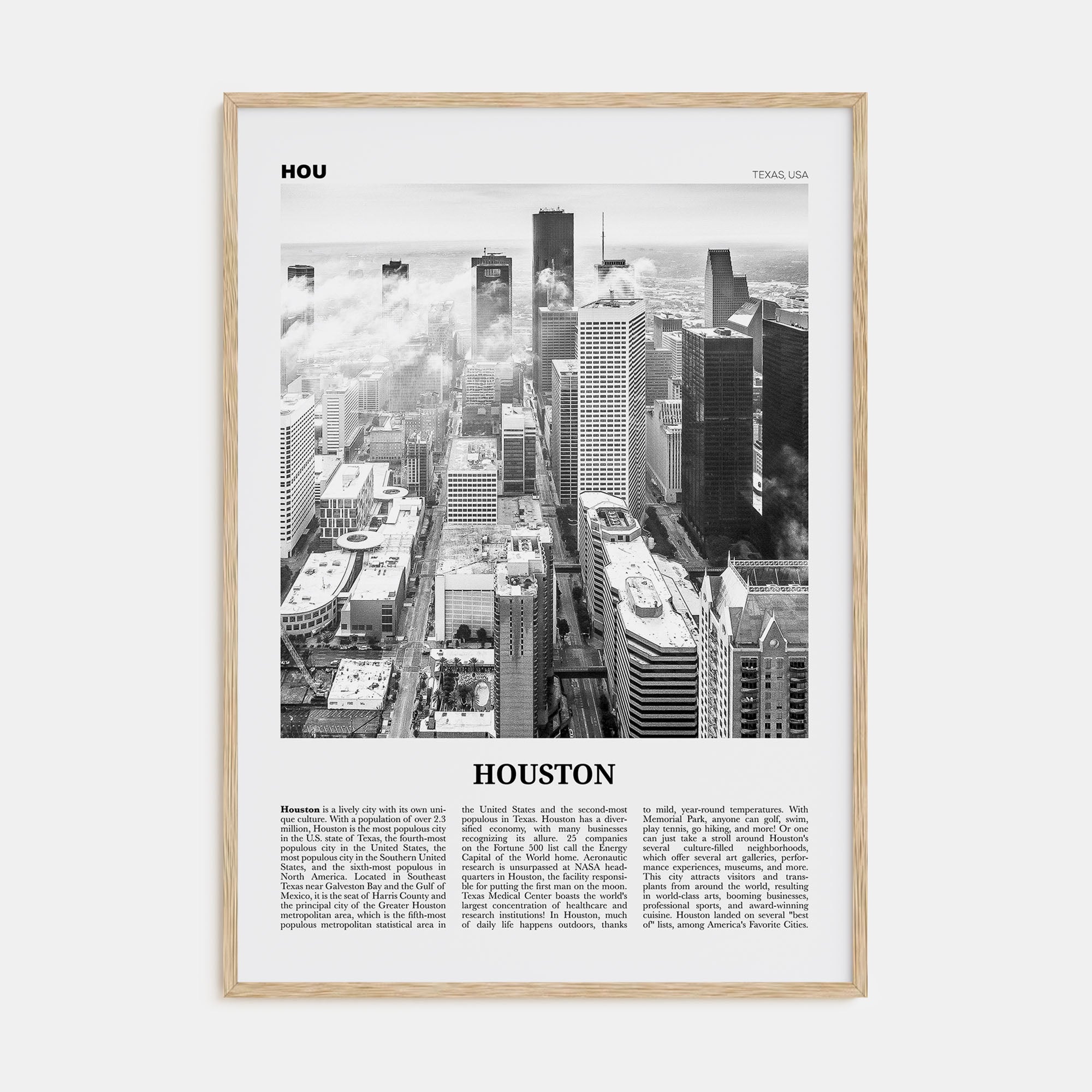 Houston Travel B&W No 1 Poster