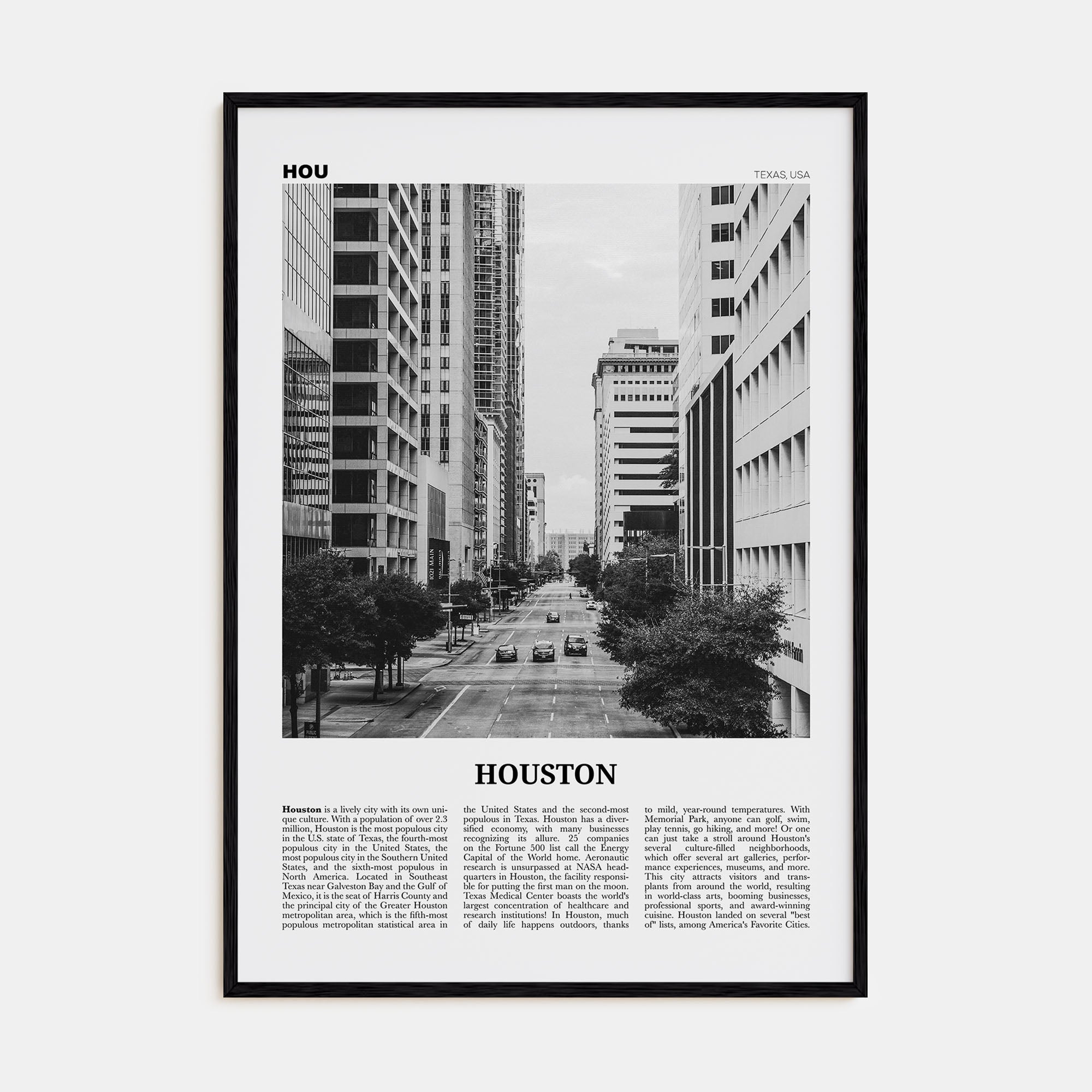 Houston Travel B&W No 3 Poster