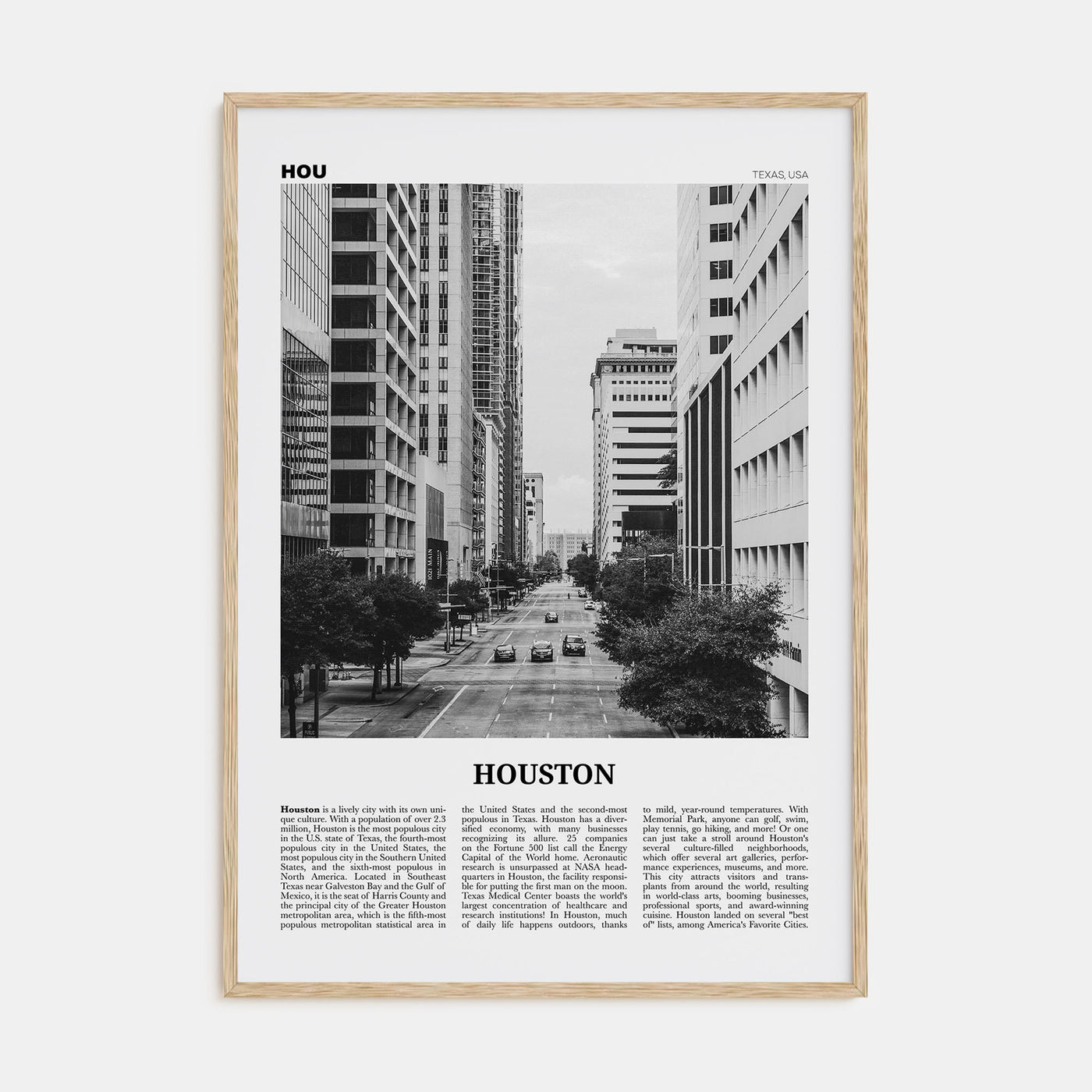 Houston Travel B&W No 3 Poster