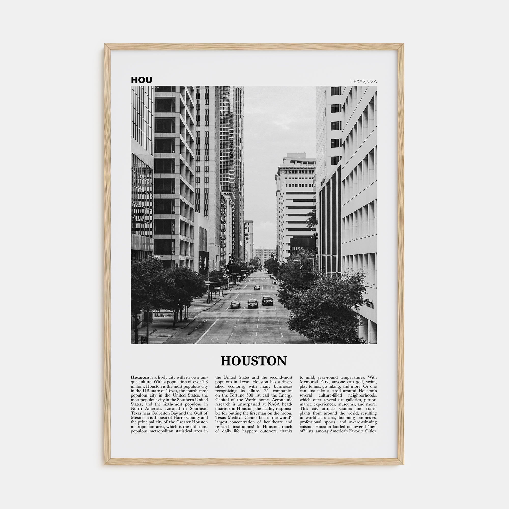 Houston Travel B&W No 3 Poster