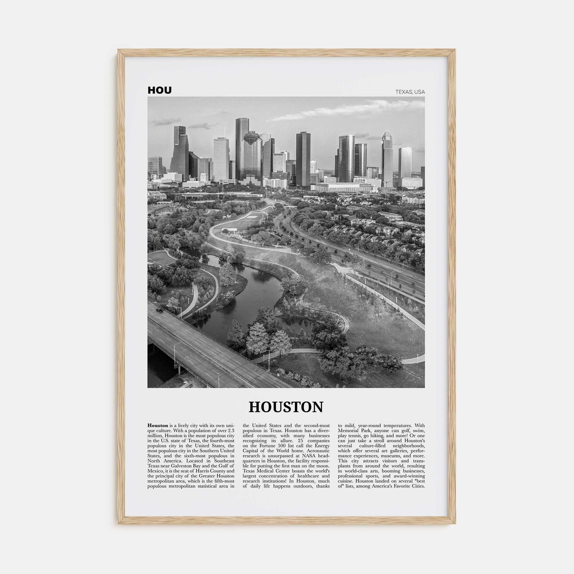 Houston Travel B&W No 4 Poster