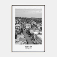 Hudson Portrait B&W Poster