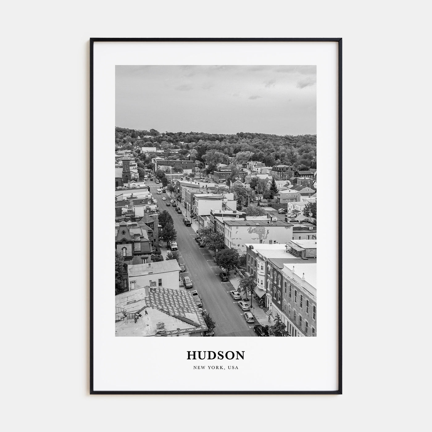 Hudson Portrait B&W Poster