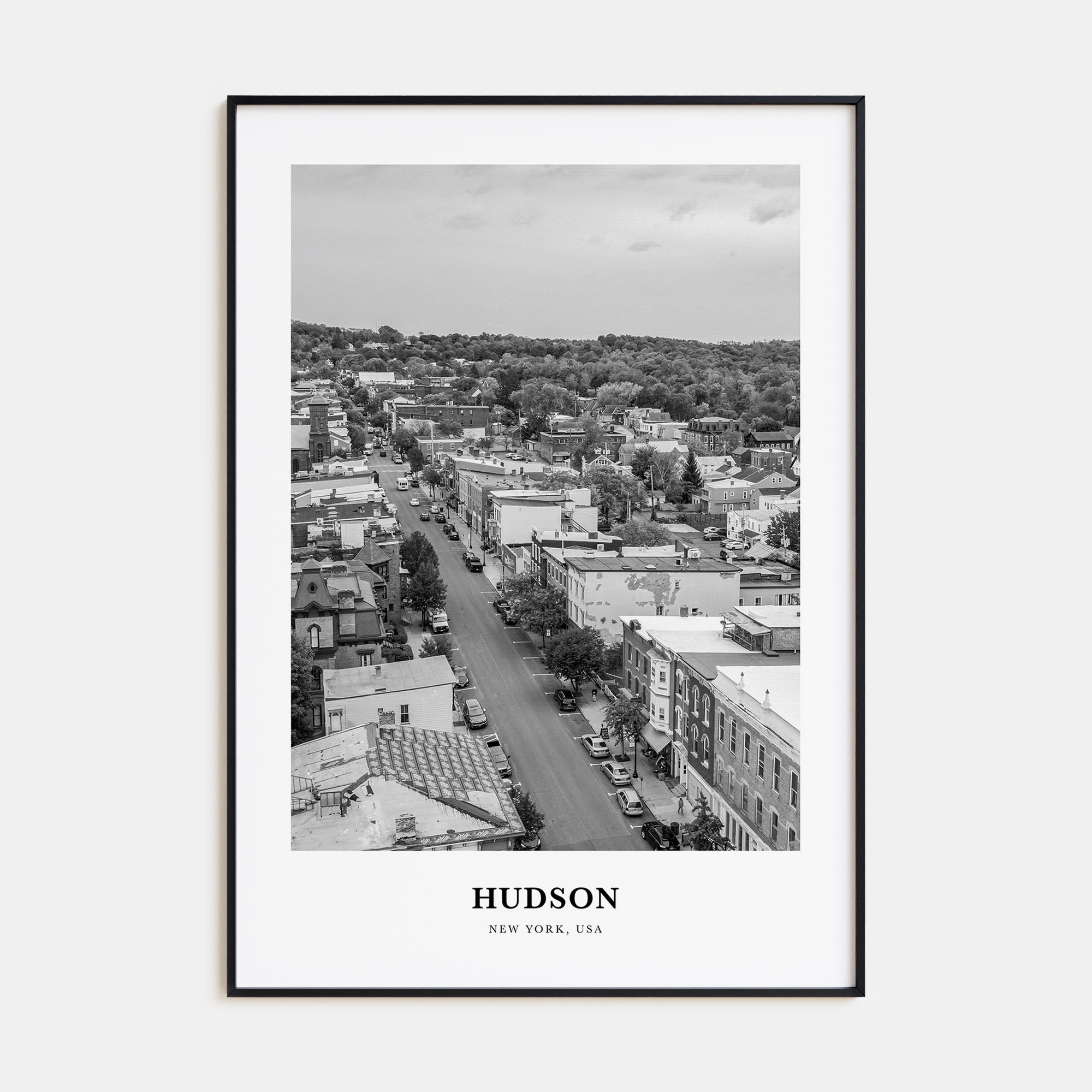 Hudson Portrait B&W Poster