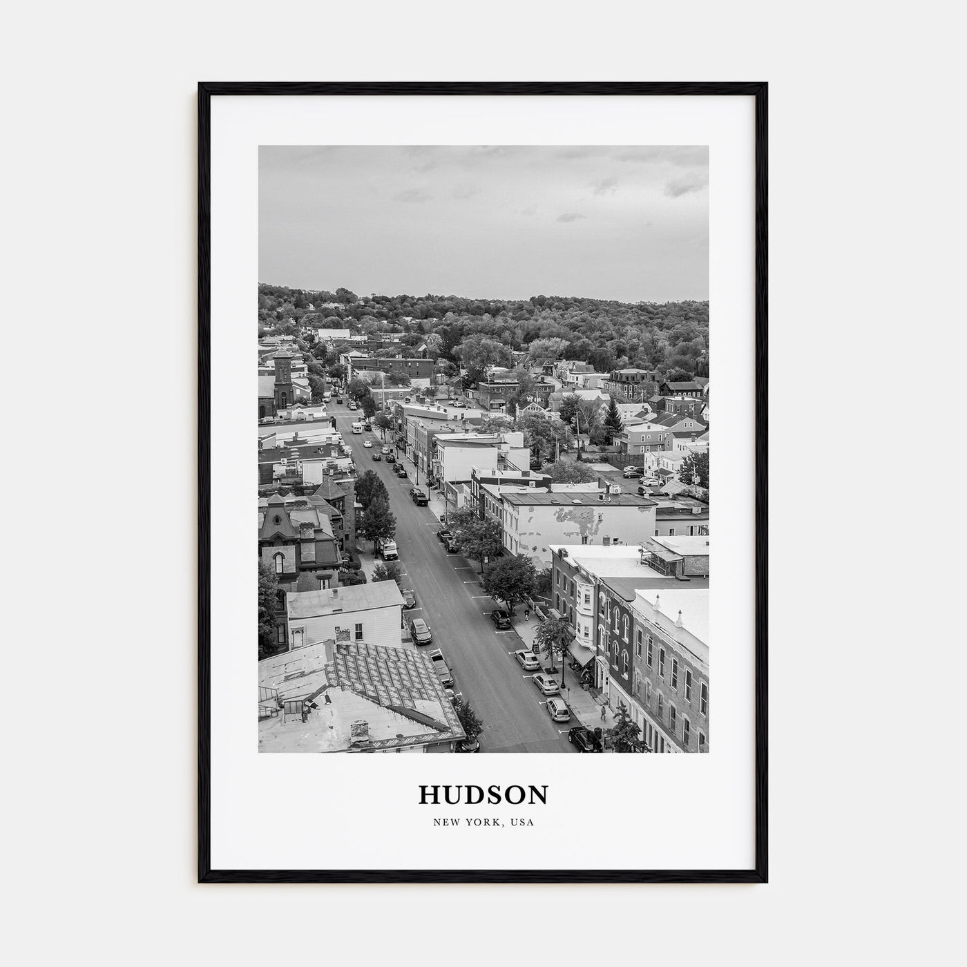 Hudson Portrait B&W Poster
