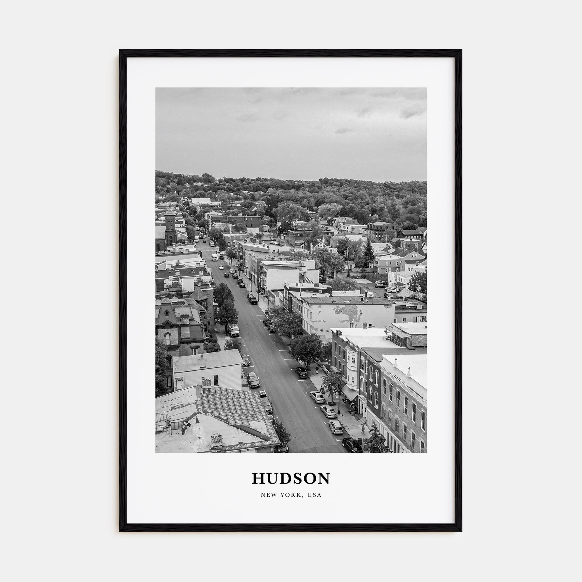 Hudson Portrait B&W Poster