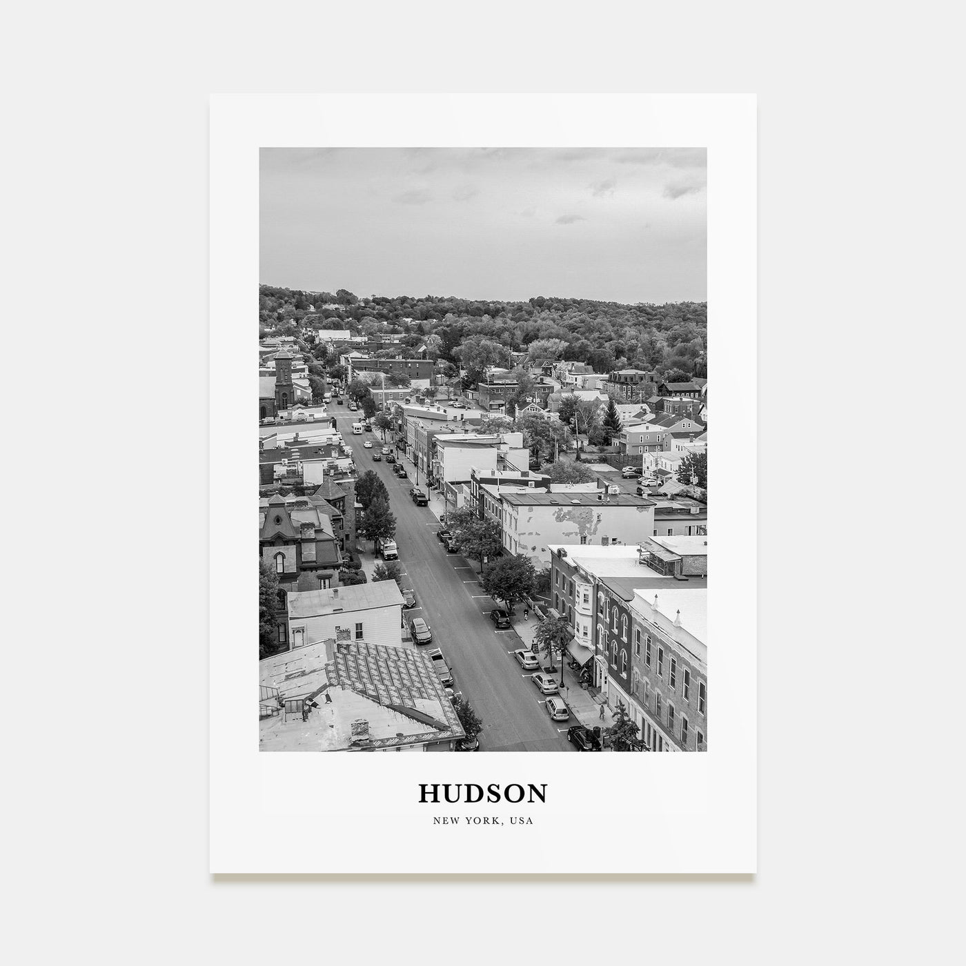 Hudson Portrait B&W Poster