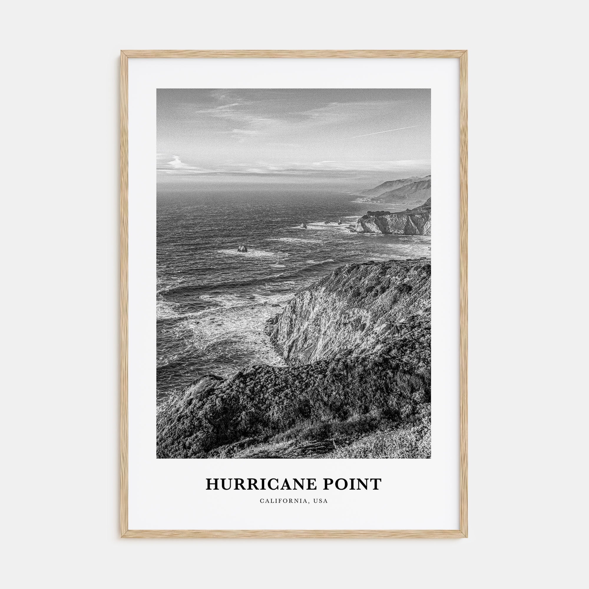 Hurricane Point Portrait B&W Poster