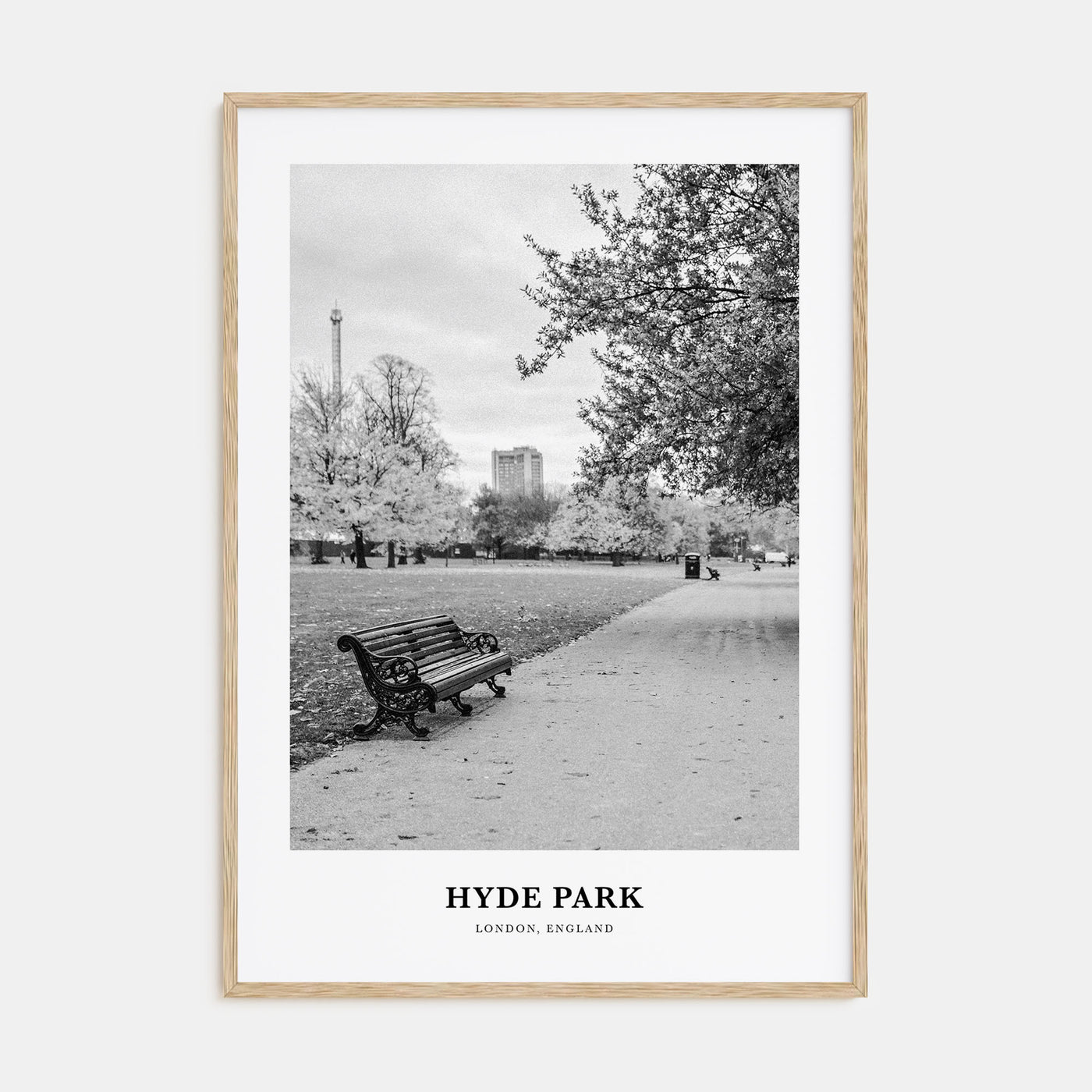 Hyde Park Portrait B&W Poster