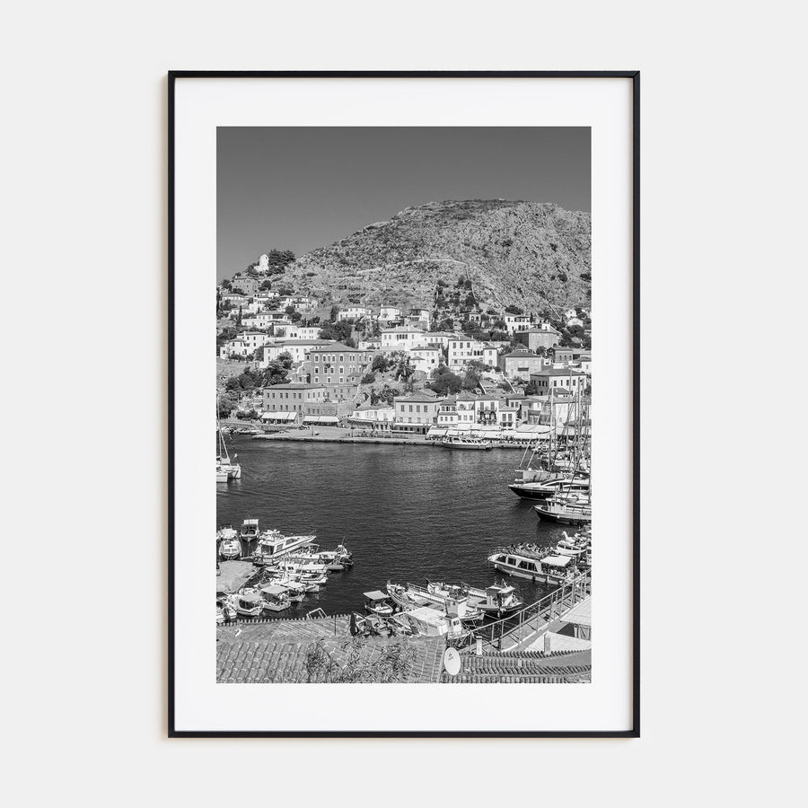 Hydra Photo B&W Poster