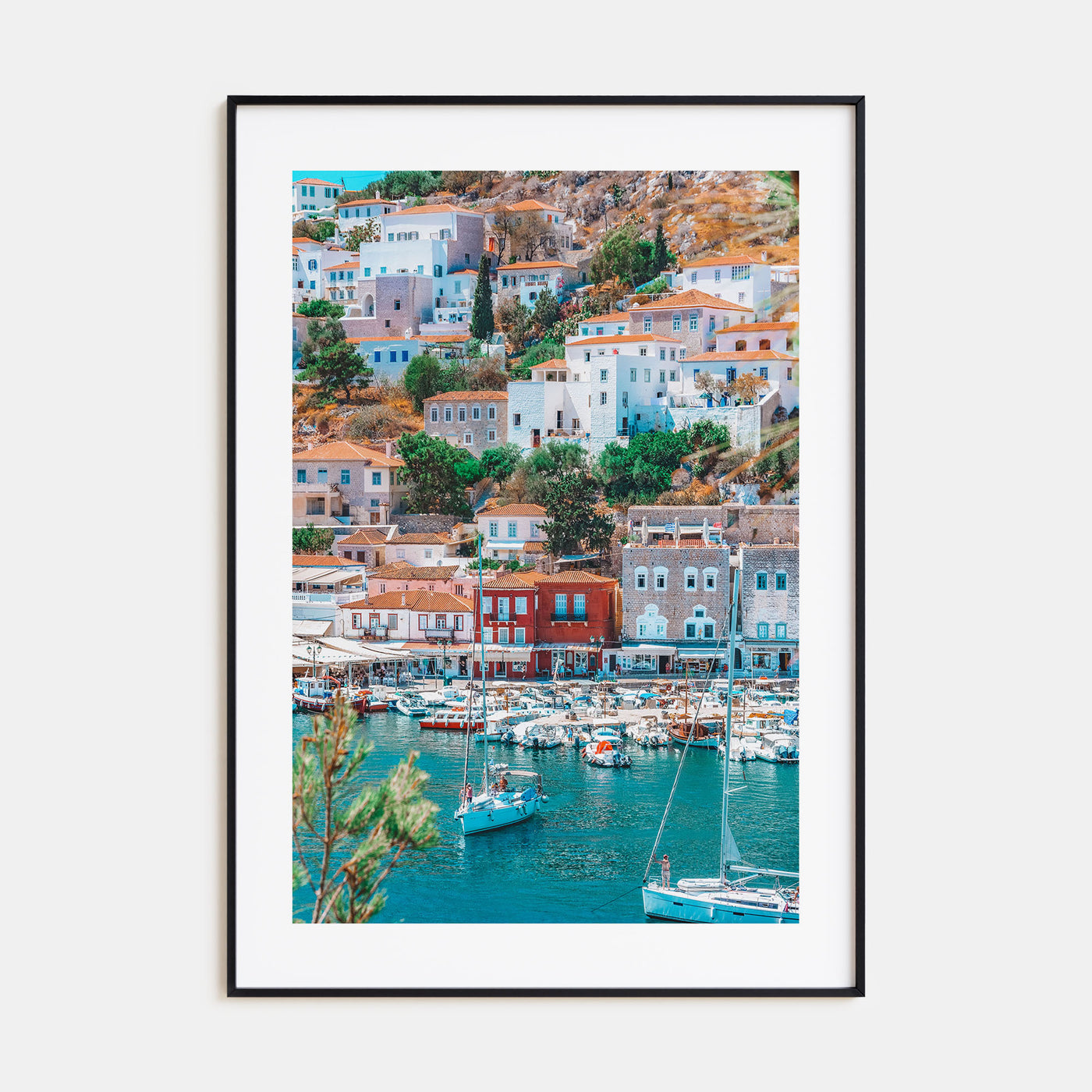 Hydra Photo Color Poster