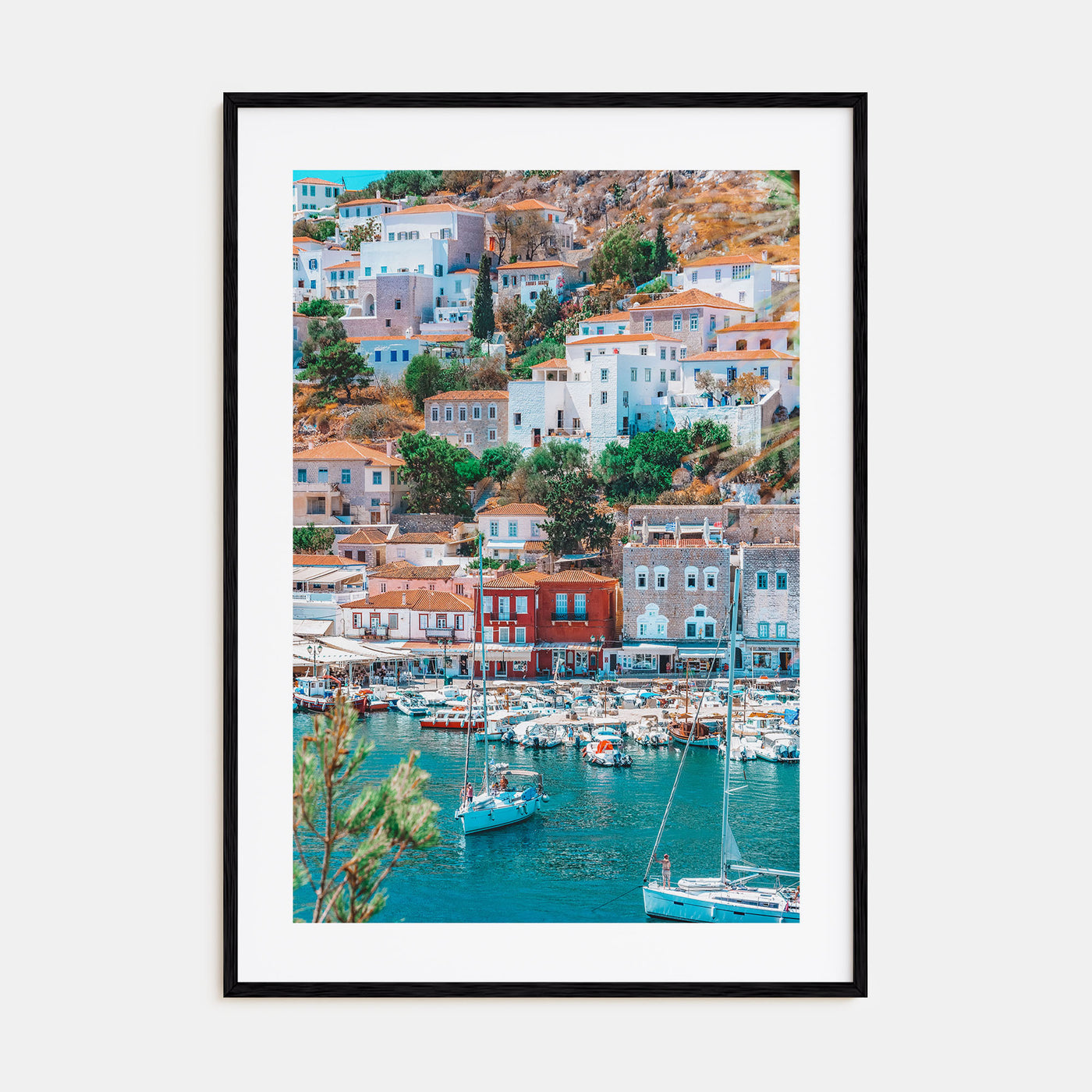 Hydra Photo Color Poster