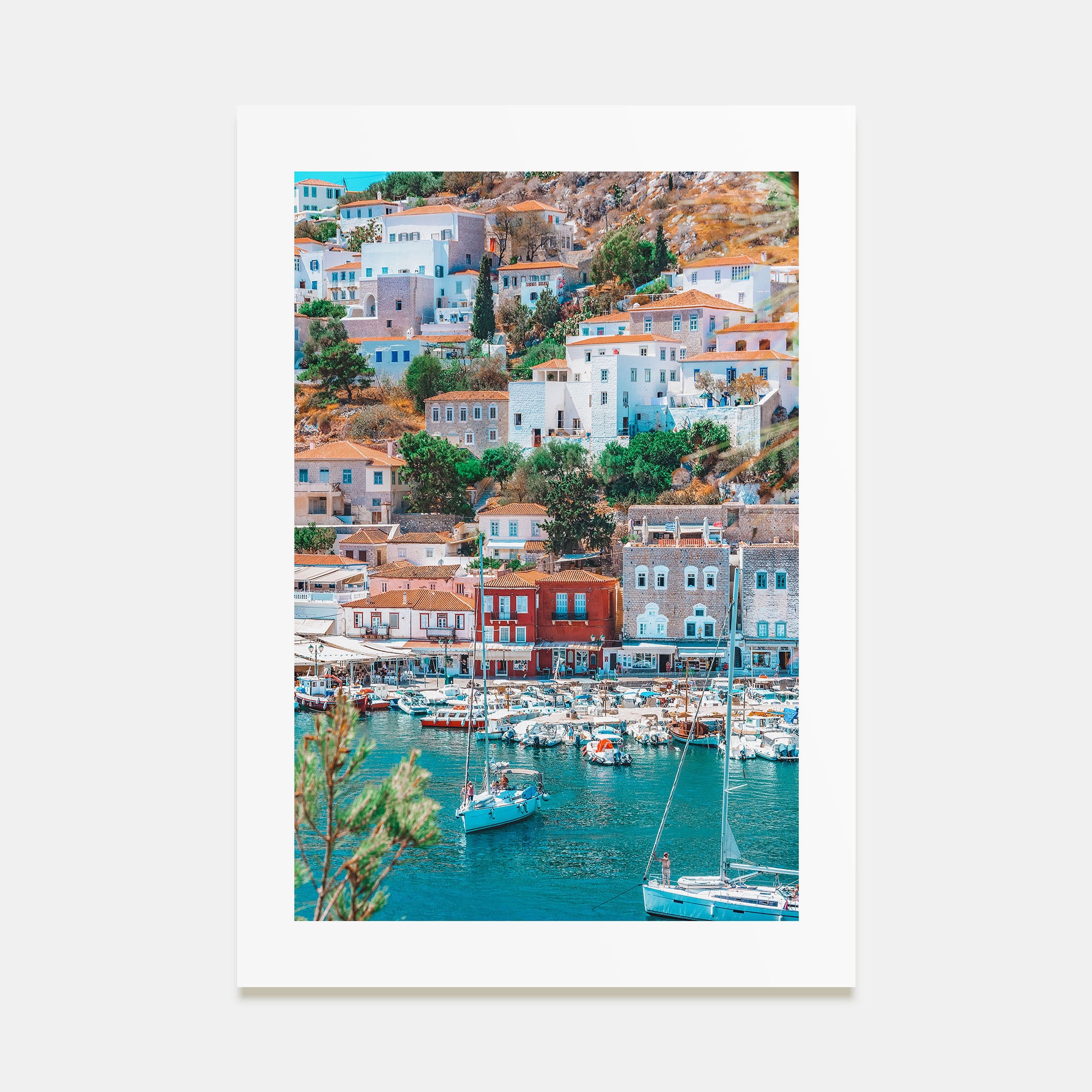 Hydra Photo Color Poster