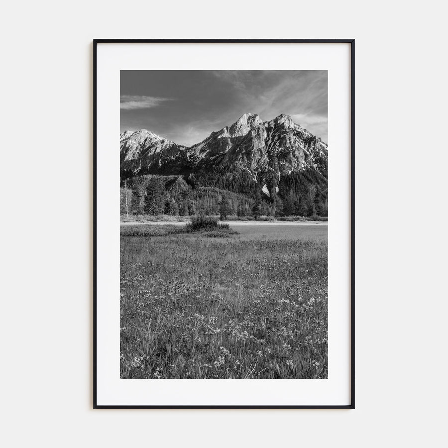 Idaho Photo B&W Poster