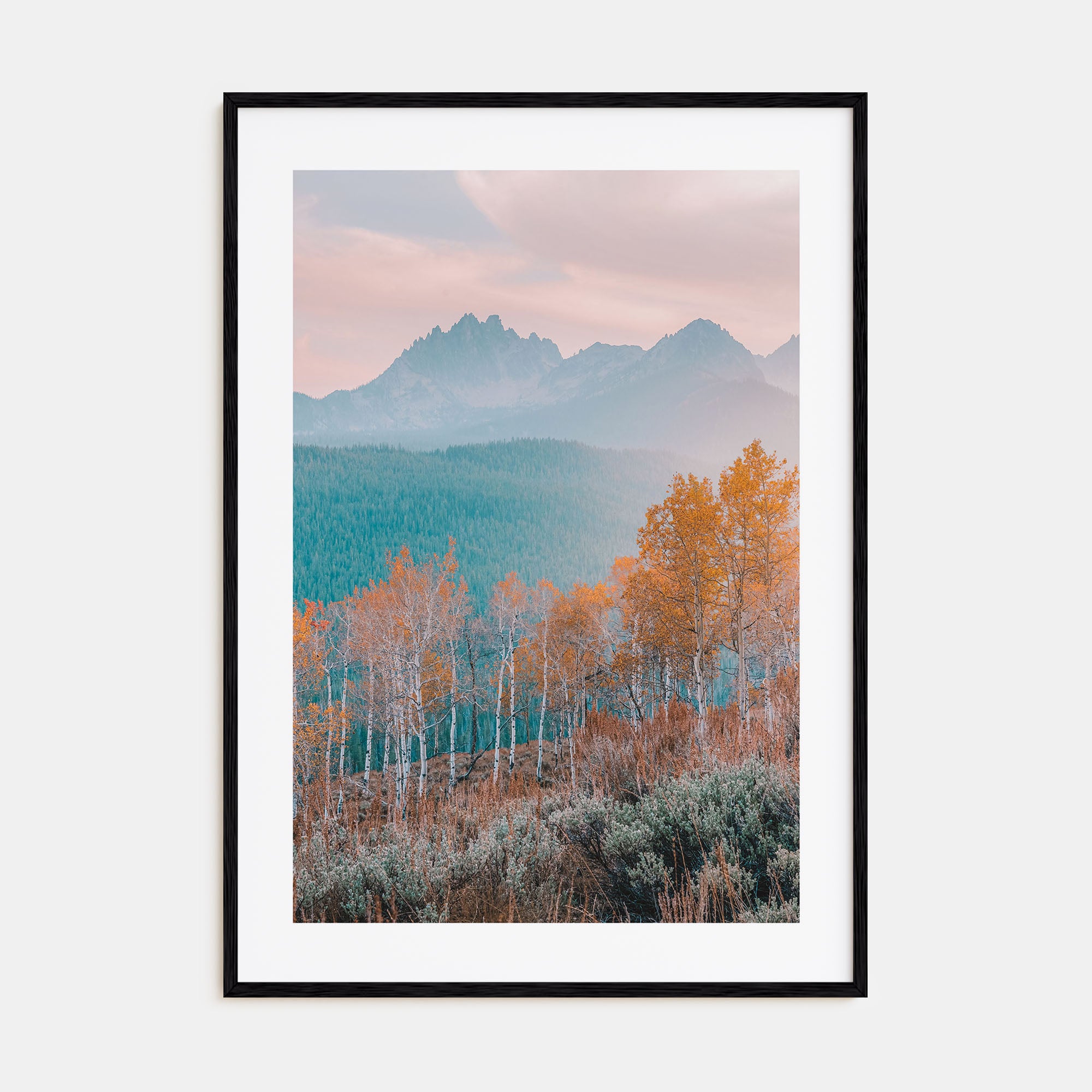 Idaho Photo Color No 3 Poster