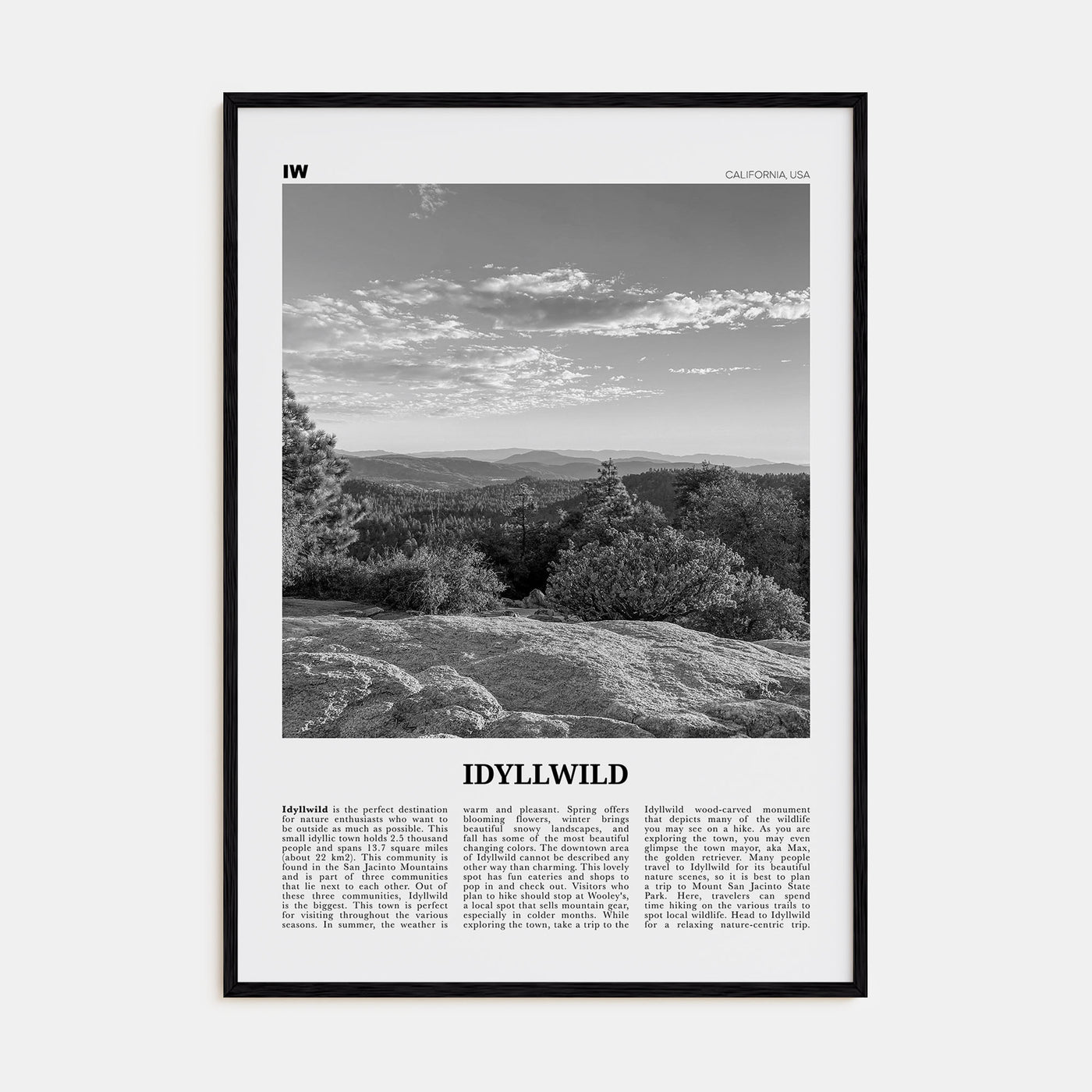 Idyllwild Travel B&W No 1 Poster