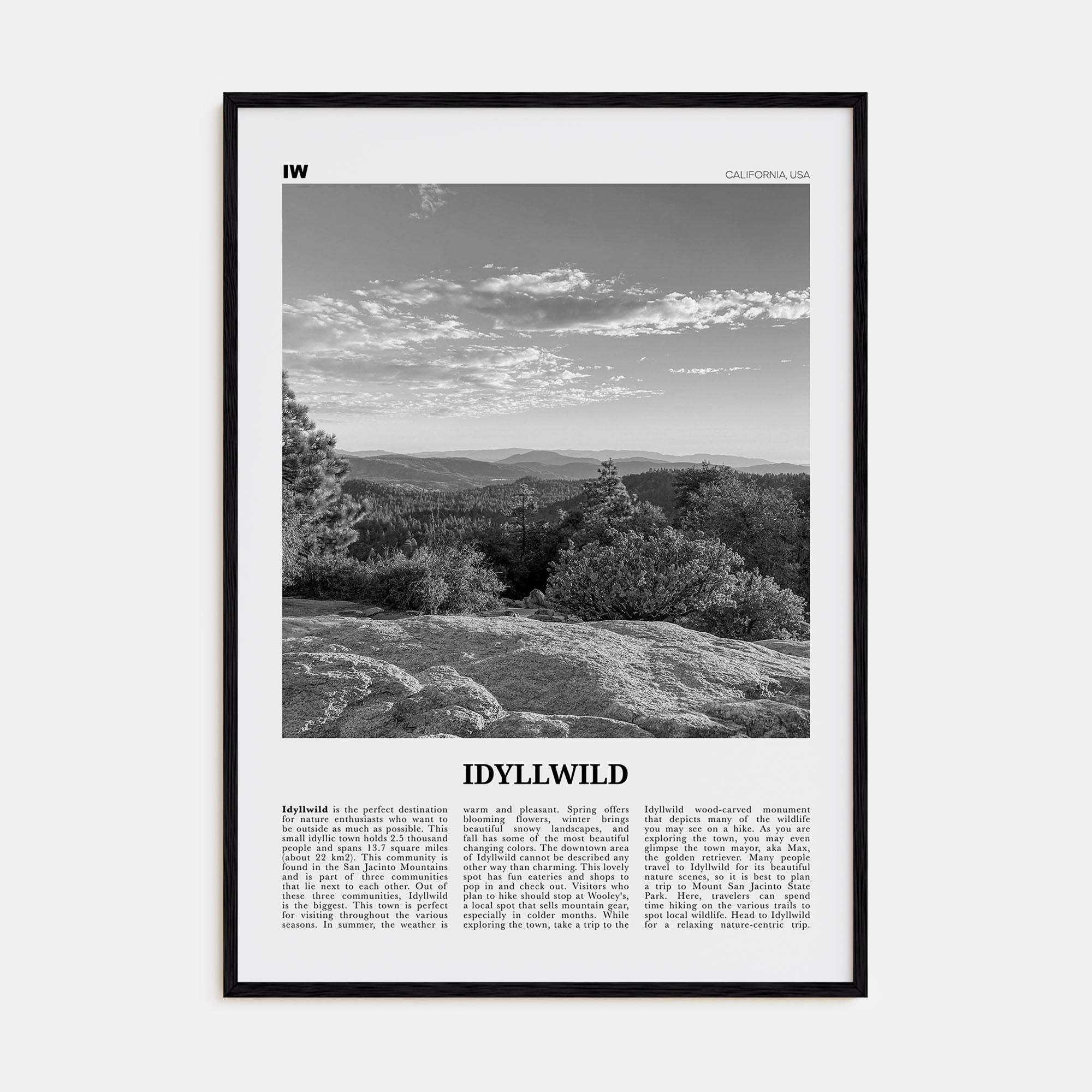 Idyllwild Travel B&W No 1 Poster