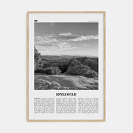 Idyllwild Travel B&W No 1 Poster
