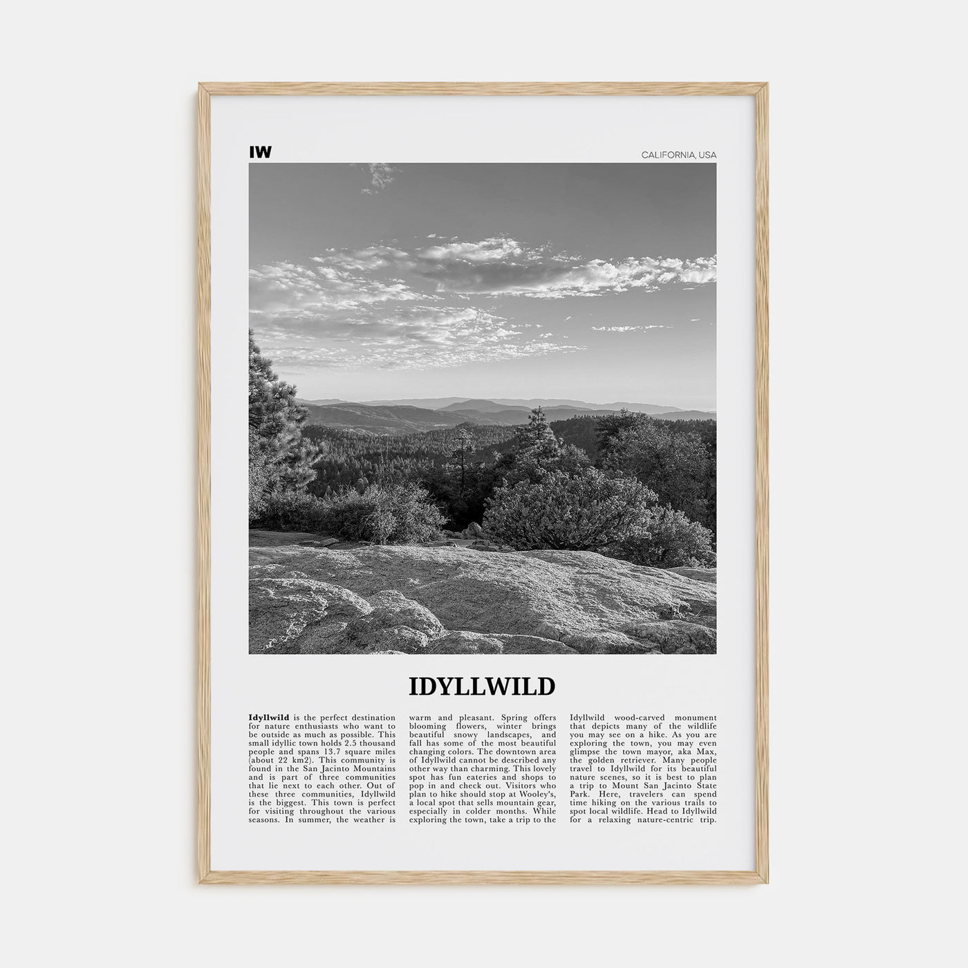 Idyllwild Travel B&W No 1 Poster