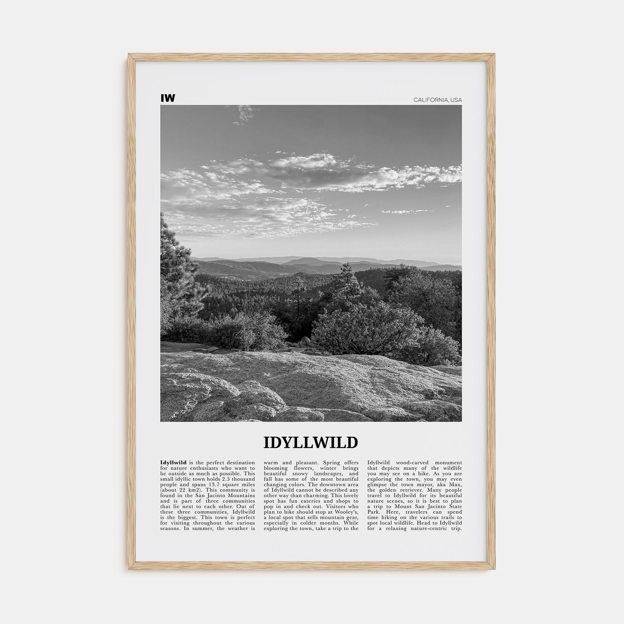 Idyllwild Travel B&W No 1 Poster