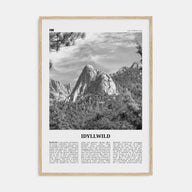 Idyllwild Travel B&W No 2 Poster