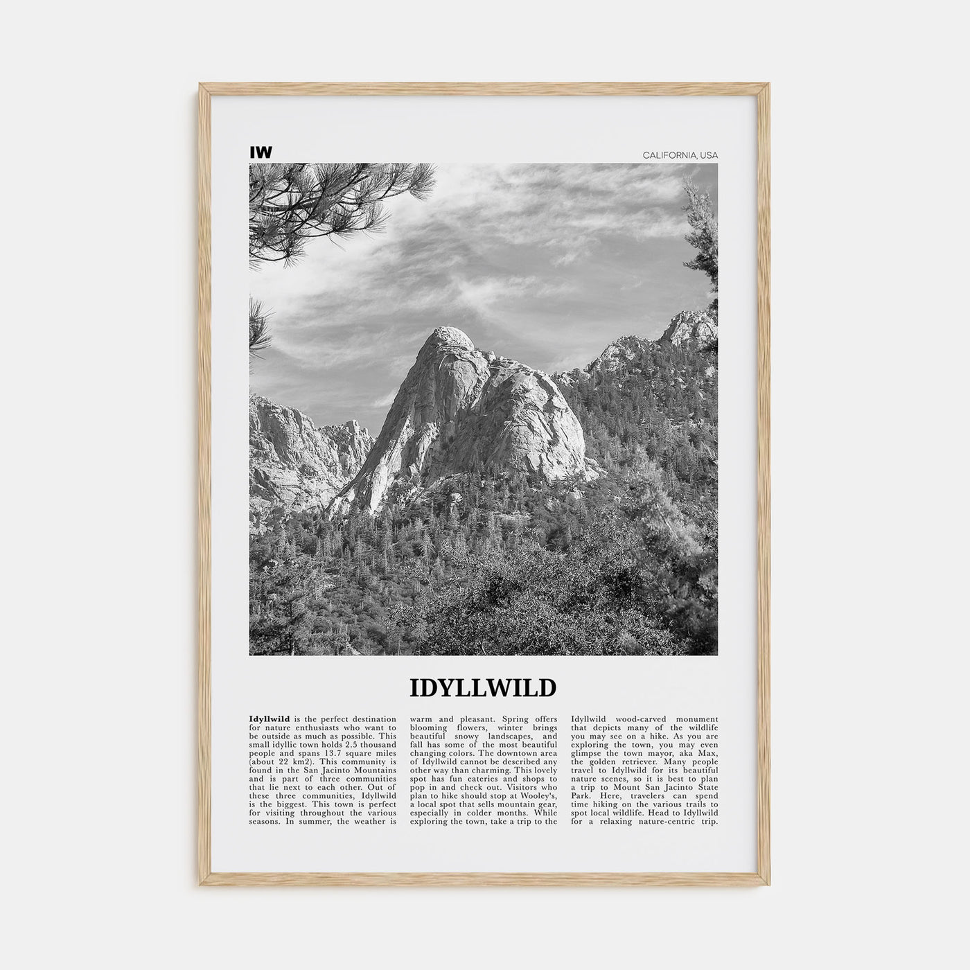 Idyllwild Travel B&W No 2 Poster
