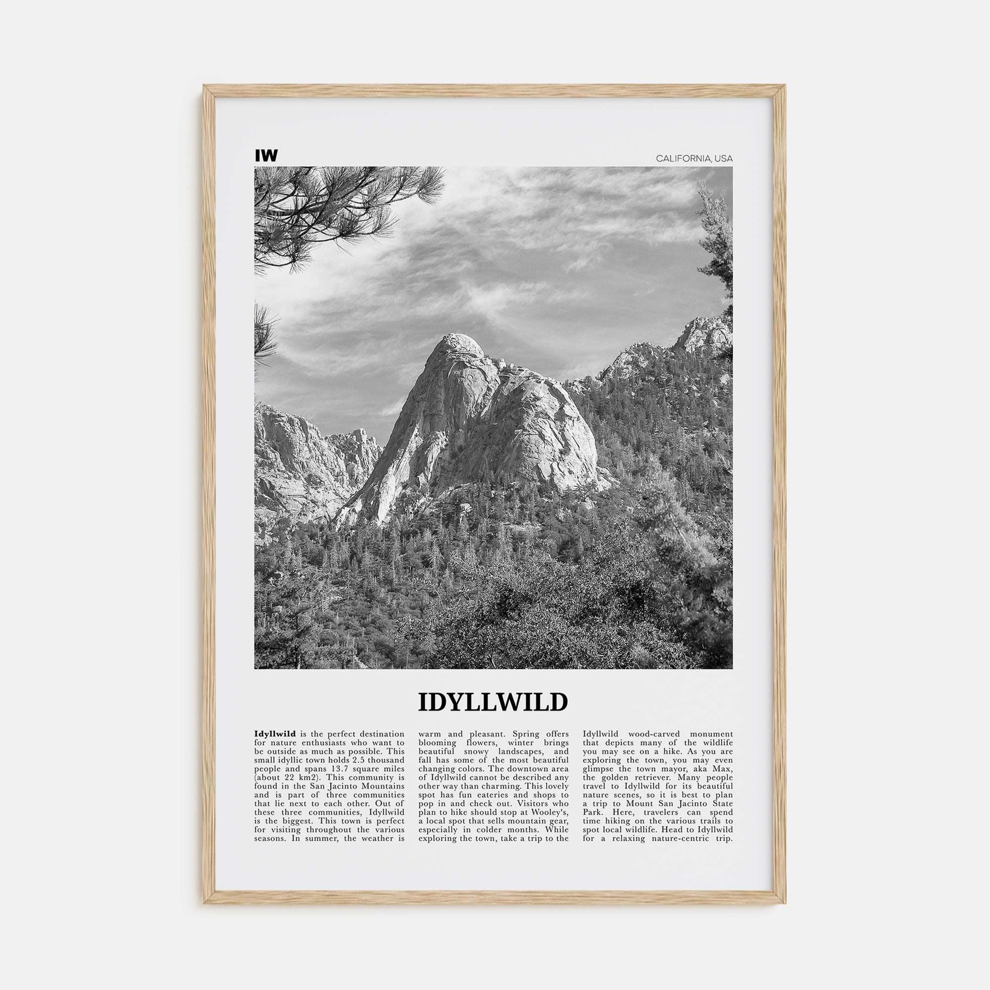 Idyllwild Travel B&W No 2 Poster