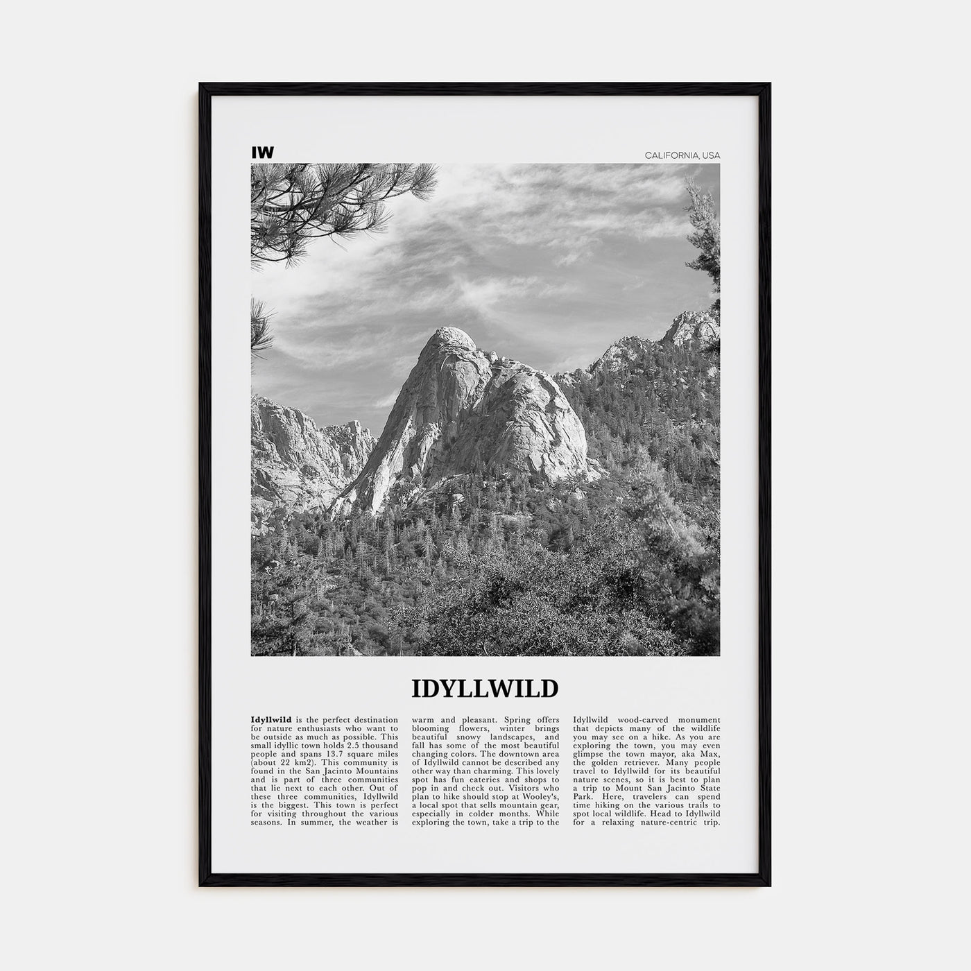 Idyllwild Travel B&W No 2 Poster