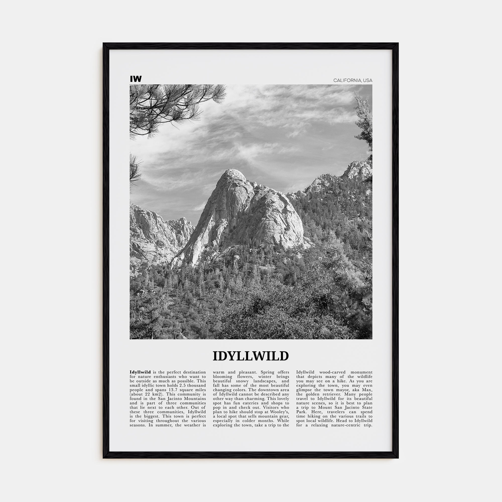 Idyllwild Travel B&W No 2 Poster