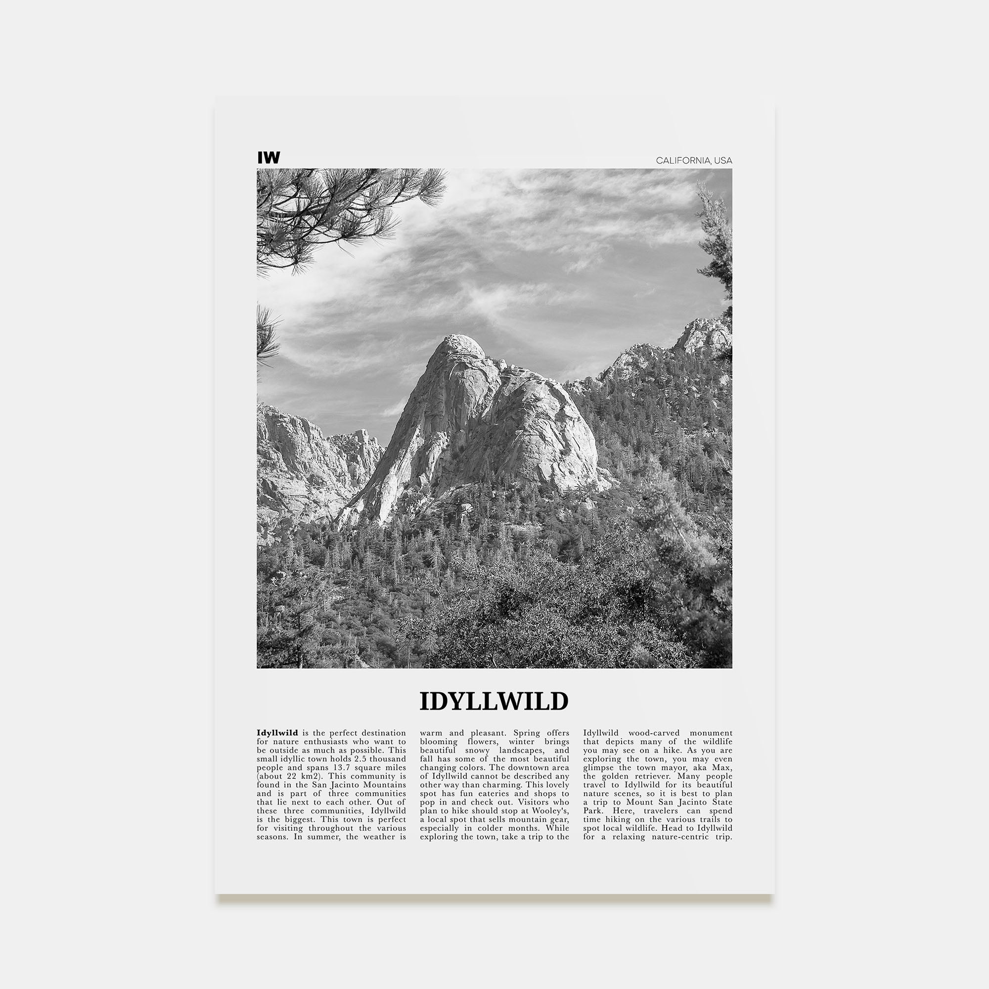 Idyllwild Travel B&W No 2 Poster