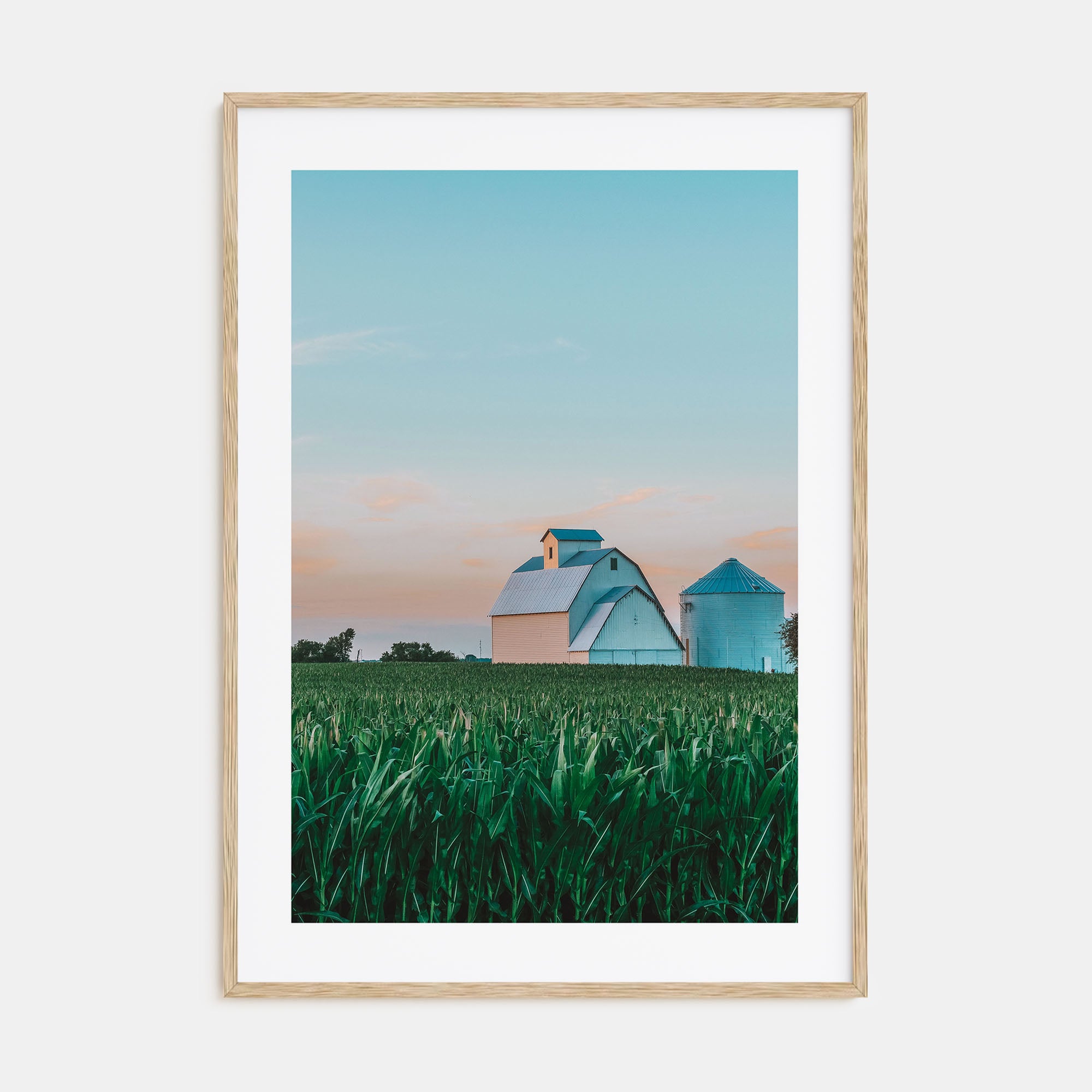 Illinois Photo Color No 2 Poster