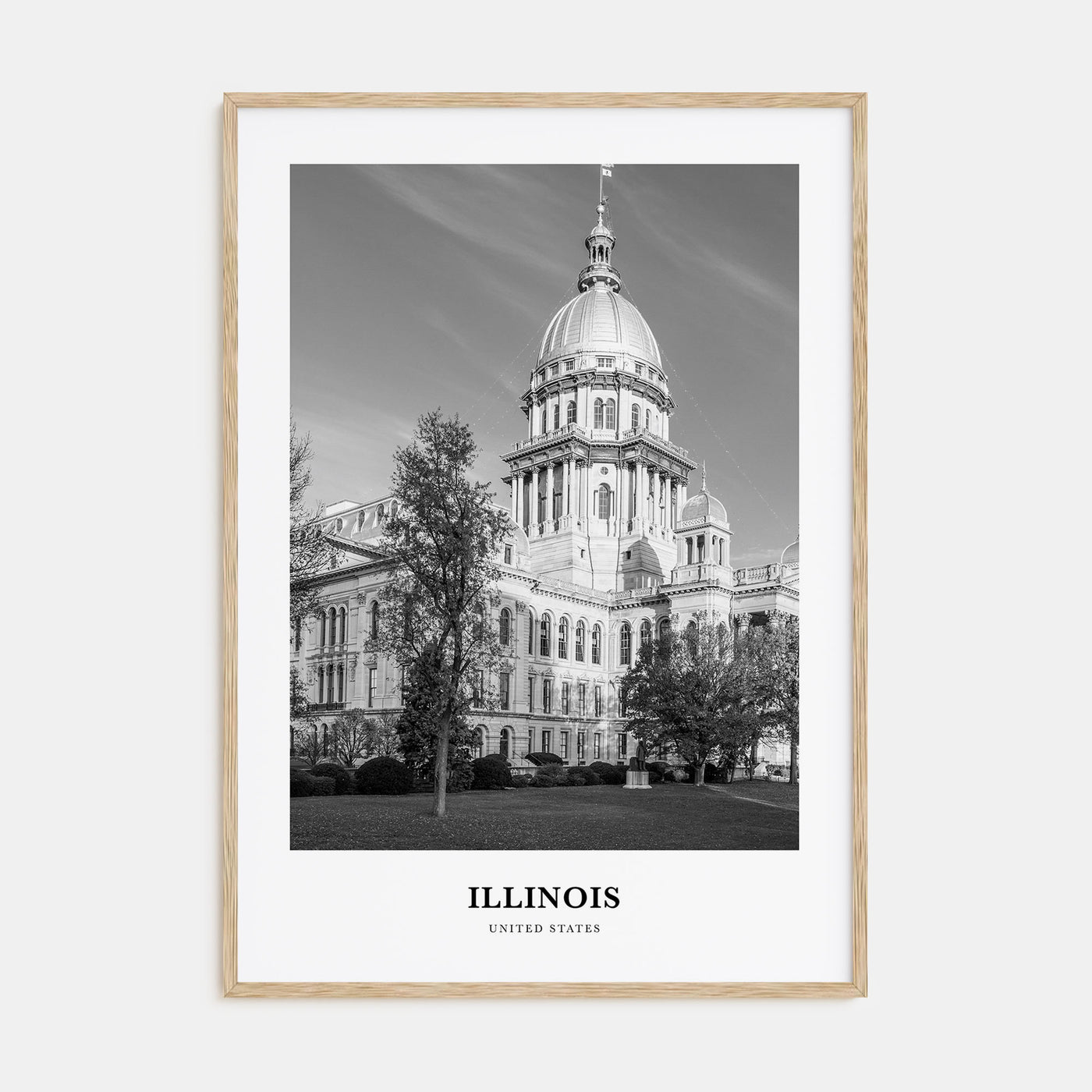 Illinois Portrait B&W No 1 Poster