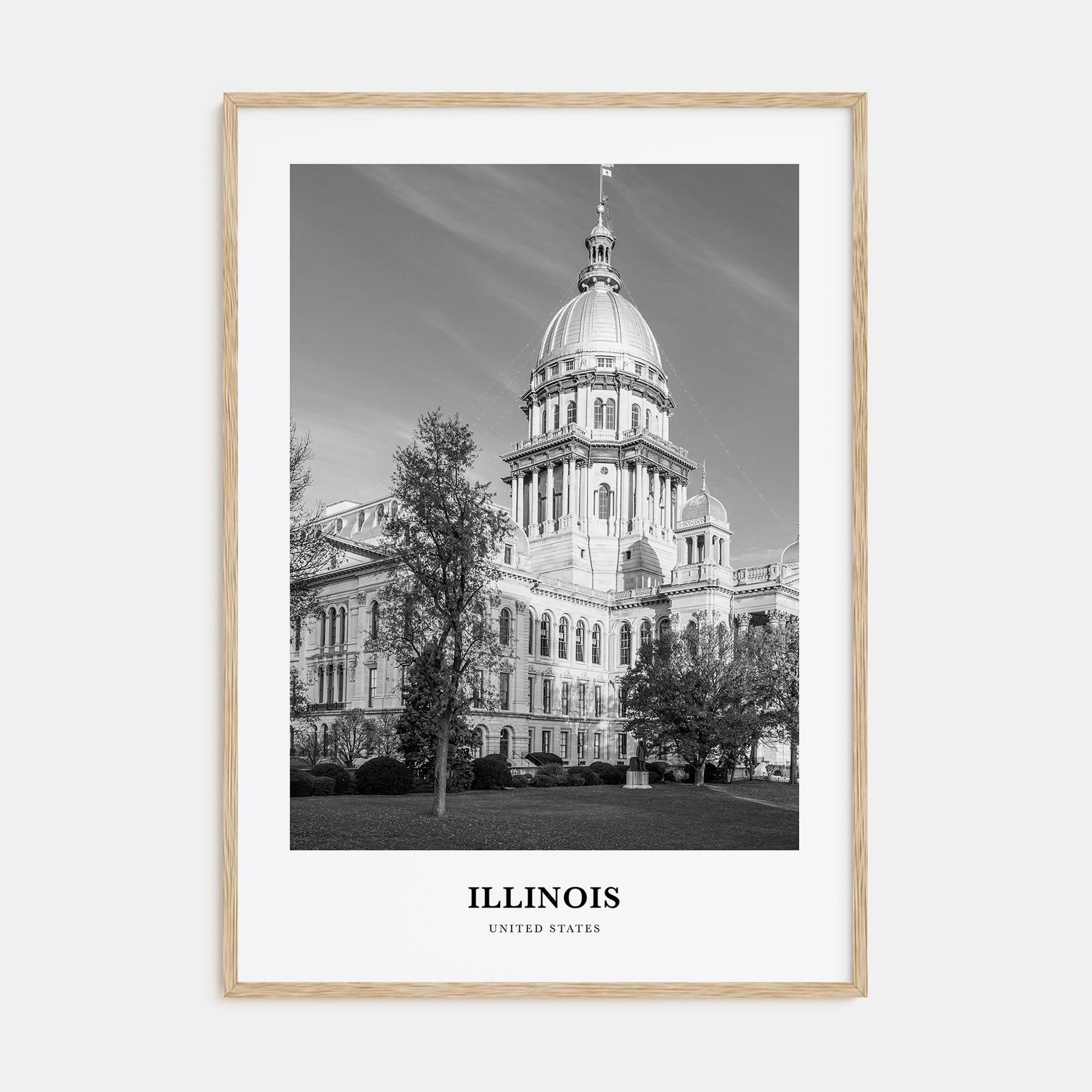Illinois Portrait B&W No 1 Poster