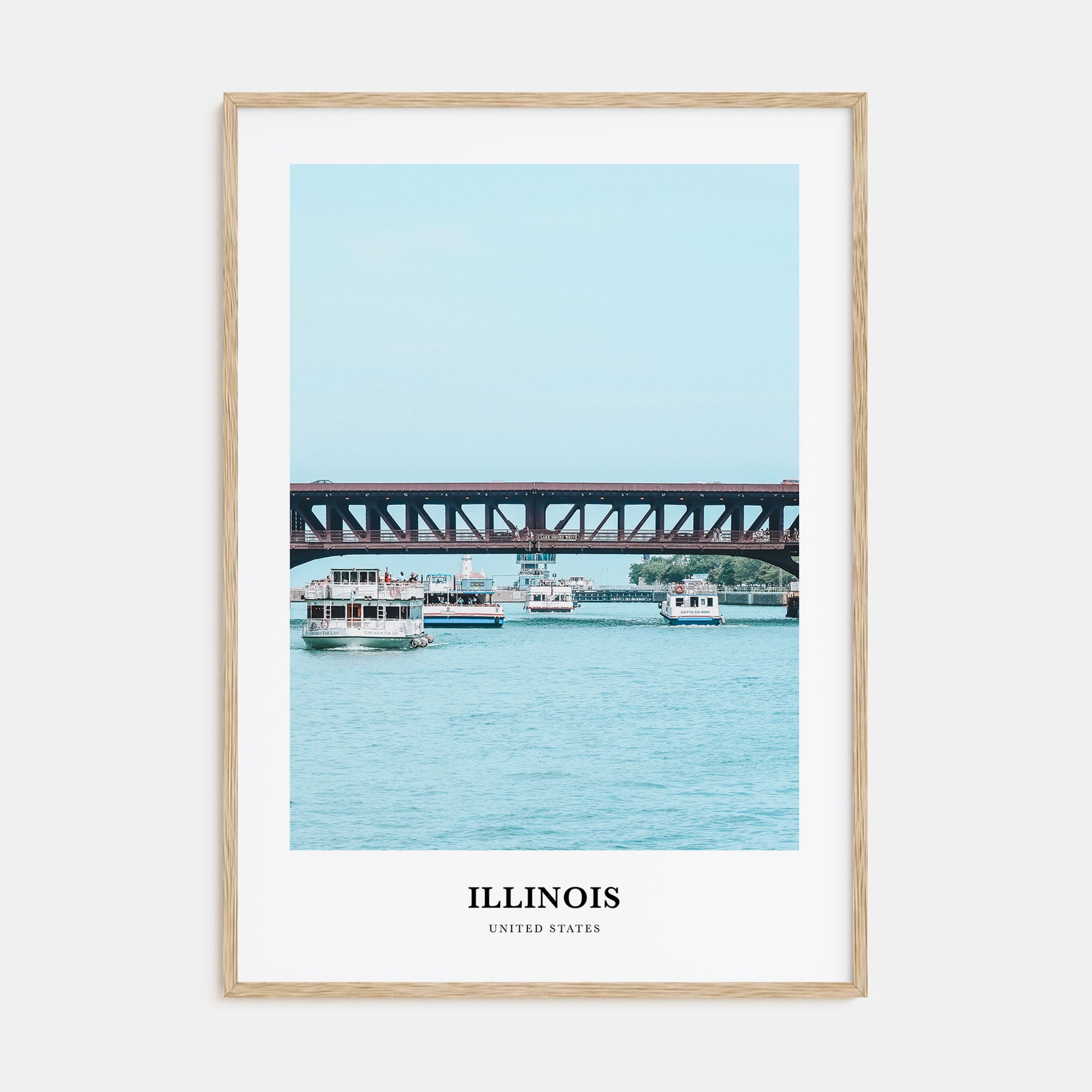 Illinois Portrait Color No 2 Poster