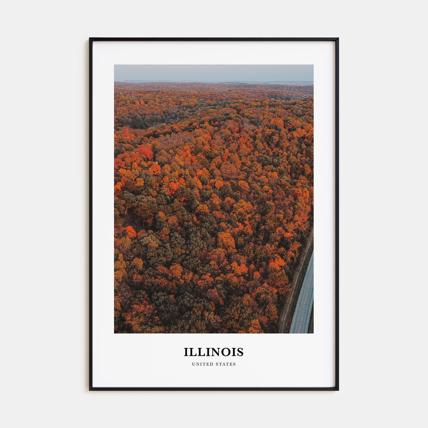 Illinois Portrait Color No 3 Poster