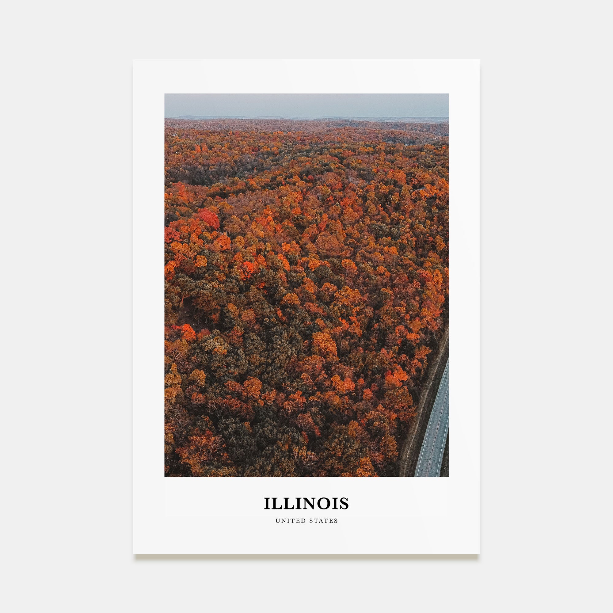 Illinois Portrait Color No 3 Poster