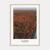 Illinois Portrait Color No 3 Poster