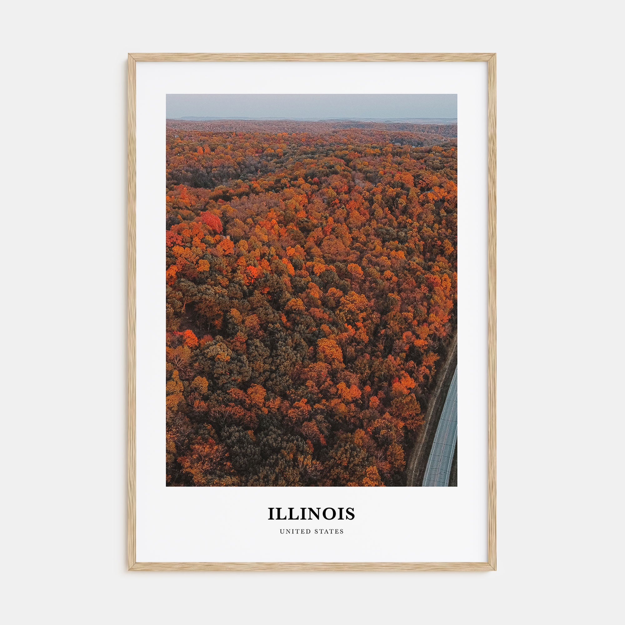 Illinois Portrait Color No 3 Poster