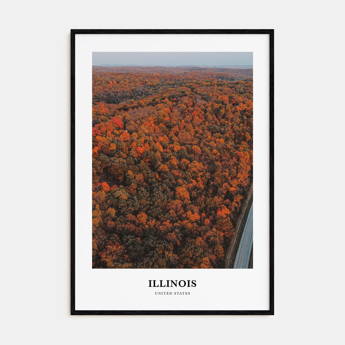 Illinois Portrait Color No 3 Poster