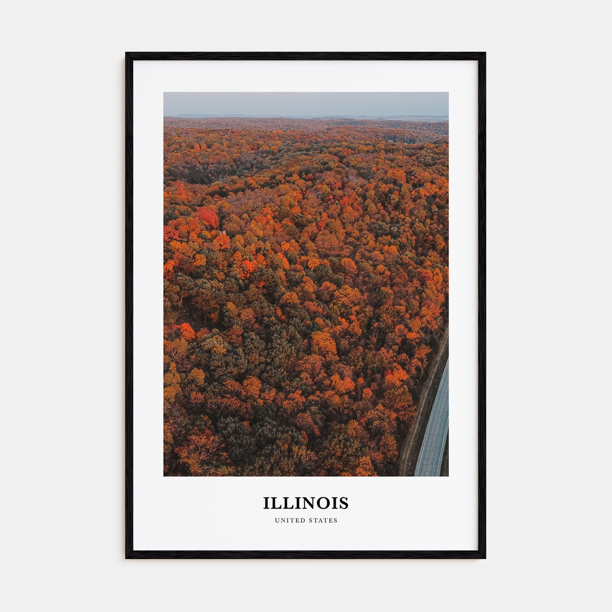 Illinois Portrait Color No 3 Poster