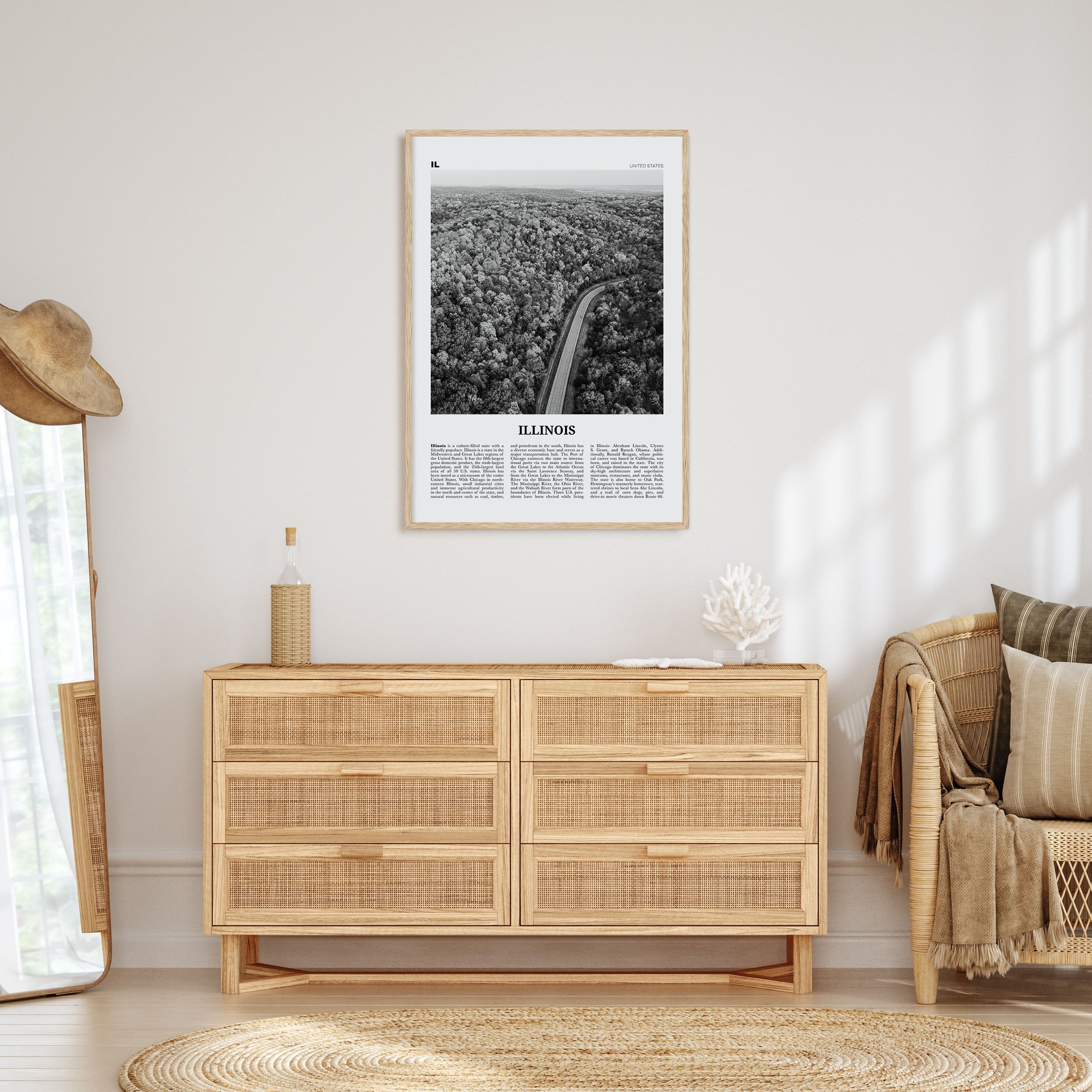 Illinois Travel B&W No 2 Poster