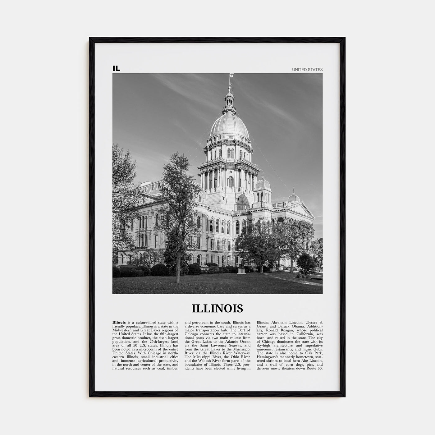 Illinois Travel B&W No 3 Poster