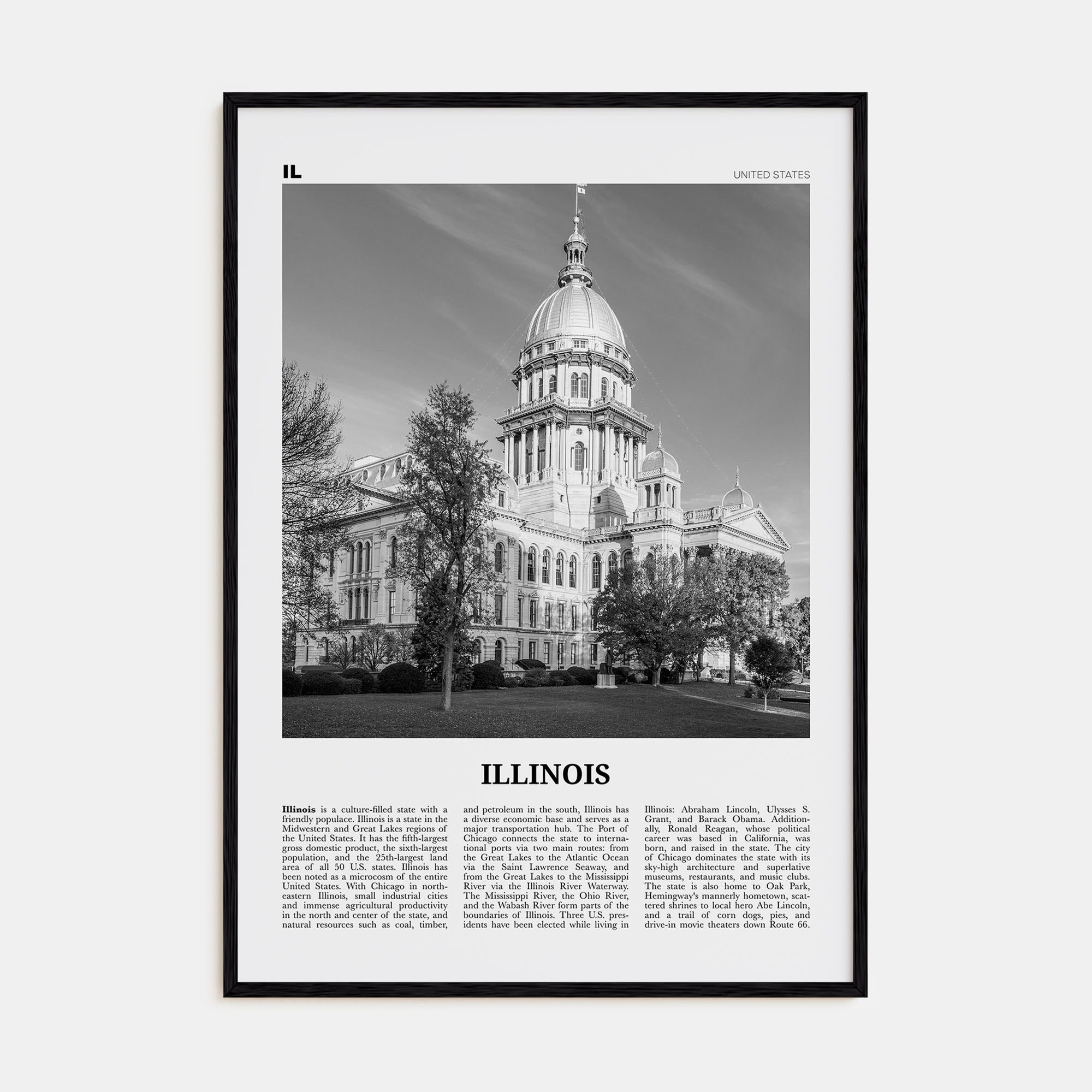 Illinois Travel B&W No 3 Poster